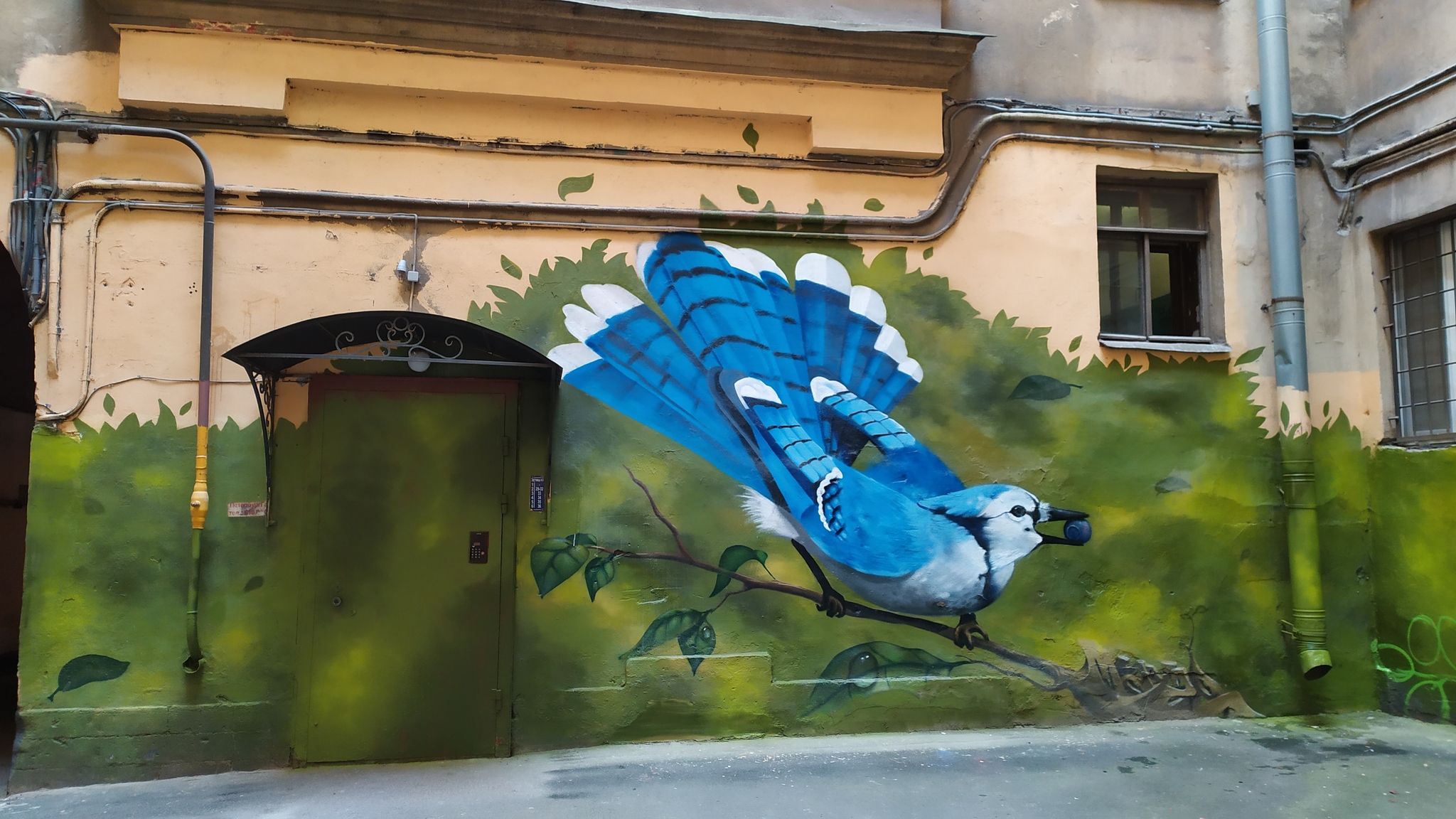 Graffiti and interesting places in St. Petersburg part 9 - Saint Petersburg, Interesting, Street art, Street artists, Longpost