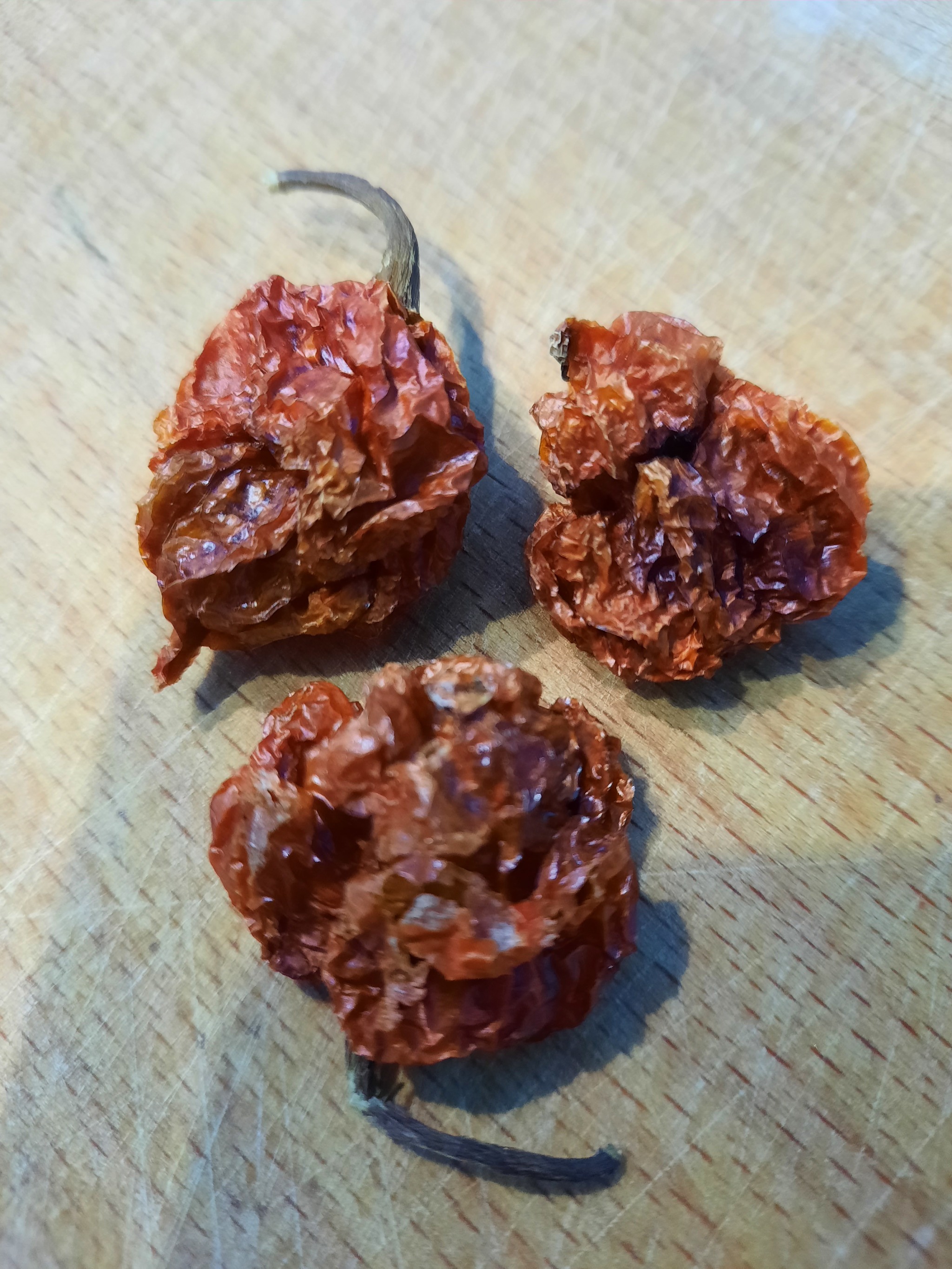 The sharpest doshirak 3 - My, Hot peppers, Pepper, Doshirak, Carolina Reaper, Longpost