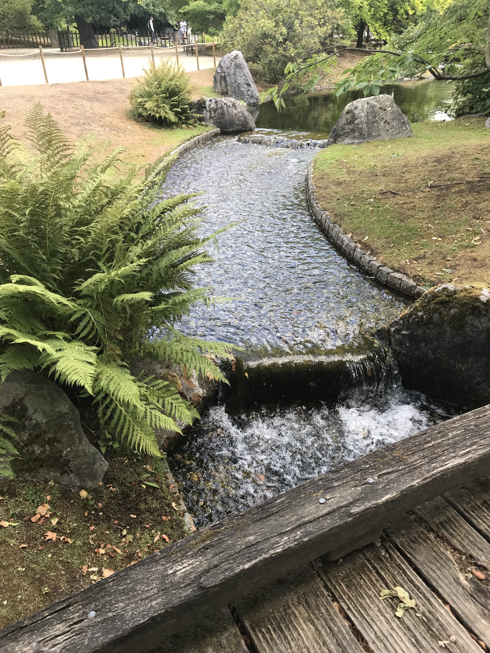 Japanese garden in Hasselt, Belgium - My, Belgium, The park, Mobile photography, Longpost