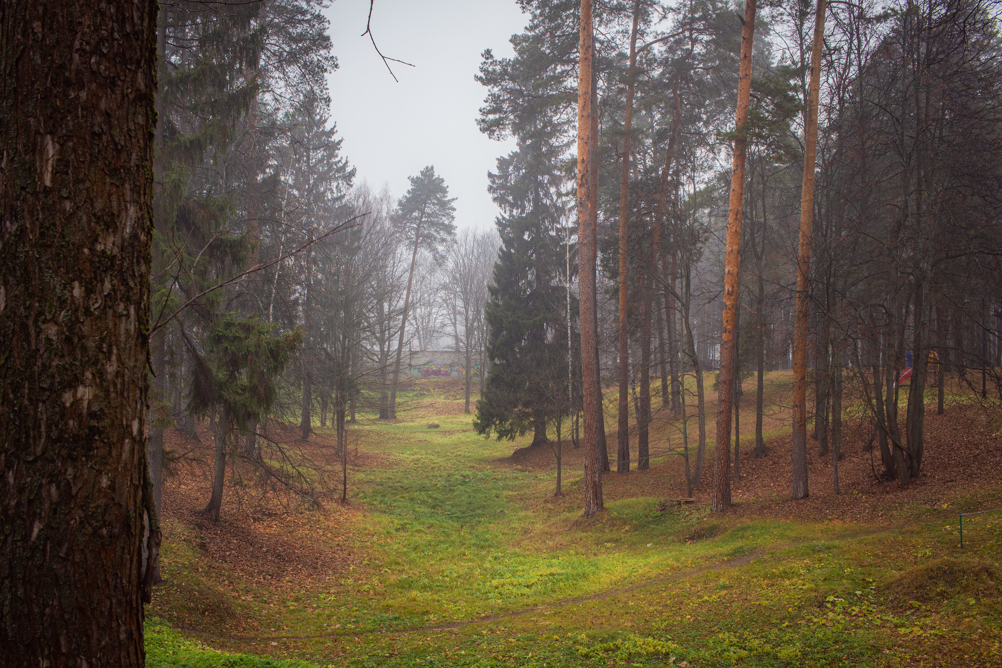 Vyksa. Park of Culture and Leisure - My, The photo, The park, Vyksa, Nizhny Novgorod Region, Autumn, Fog, Canon, sights, Landscape, Nature, Longpost