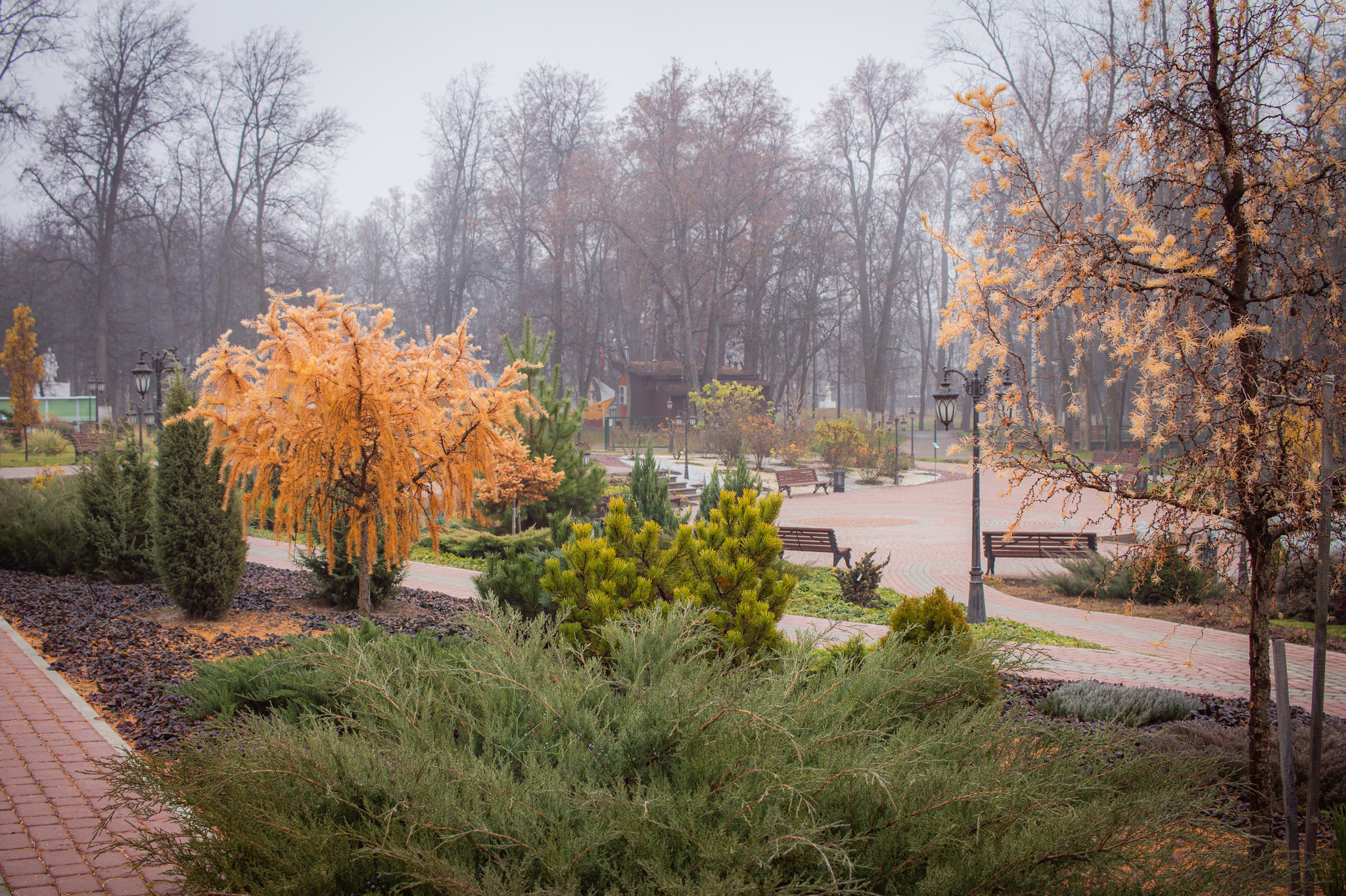 Vyksa. Park of Culture and Leisure - My, The photo, The park, Vyksa, Nizhny Novgorod Region, Autumn, Fog, Canon, sights, Landscape, Nature, Longpost