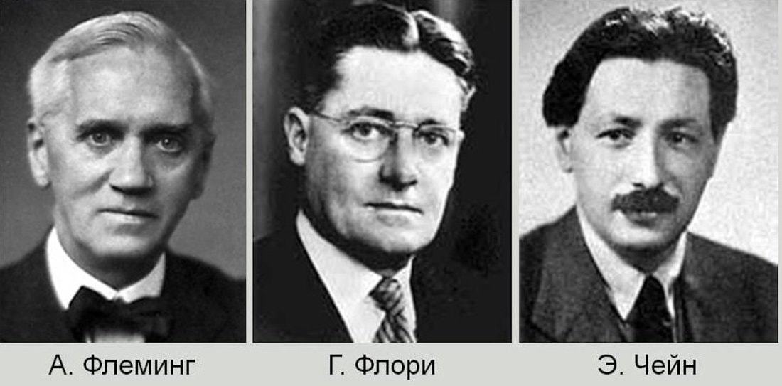 Кто и почему считается «отцом» первого антибиотика, спасшего миллионы жизней | История создания - Моё, Медицина, Пенициллин, Александр Флеминг, История, Вторая мировая война, Лекарства, Гифка, Длиннопост, Видео, Повтор