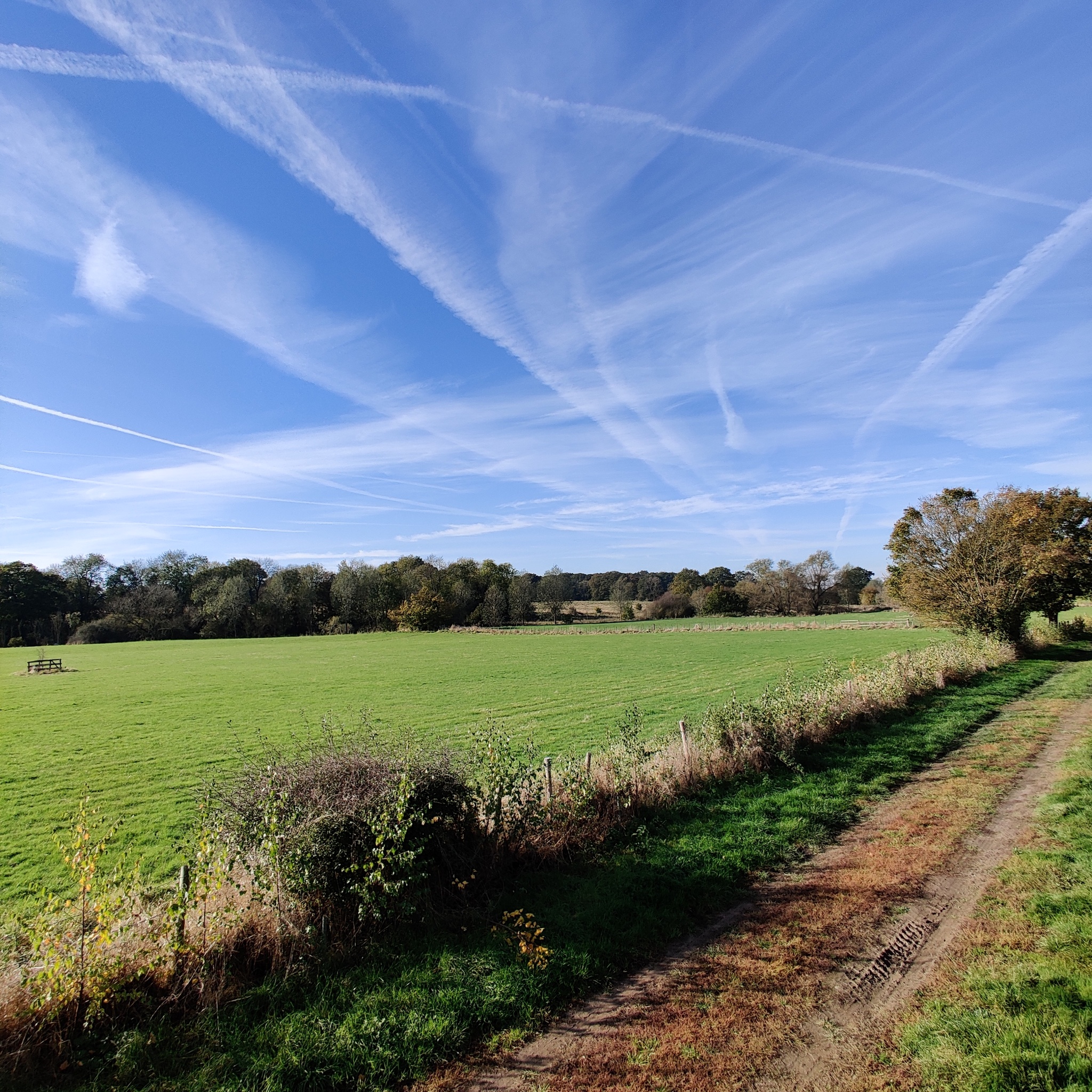 England, Kent - My, England, Nature, Field, Chemtrails