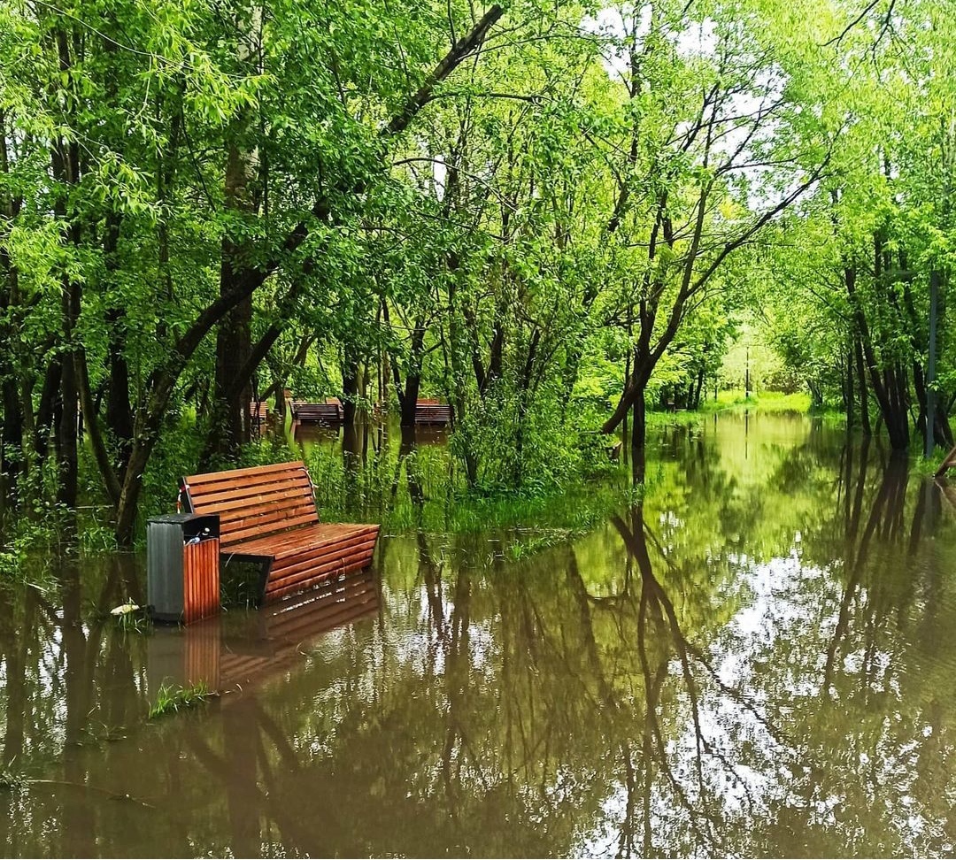 Overflow of the Chermyanka River - My, River, Flooding, Yauza, North-East Administrative District, Moscow, The park, Sviblovo, The photo, Beginning photographer, Chermyanka, Longpost