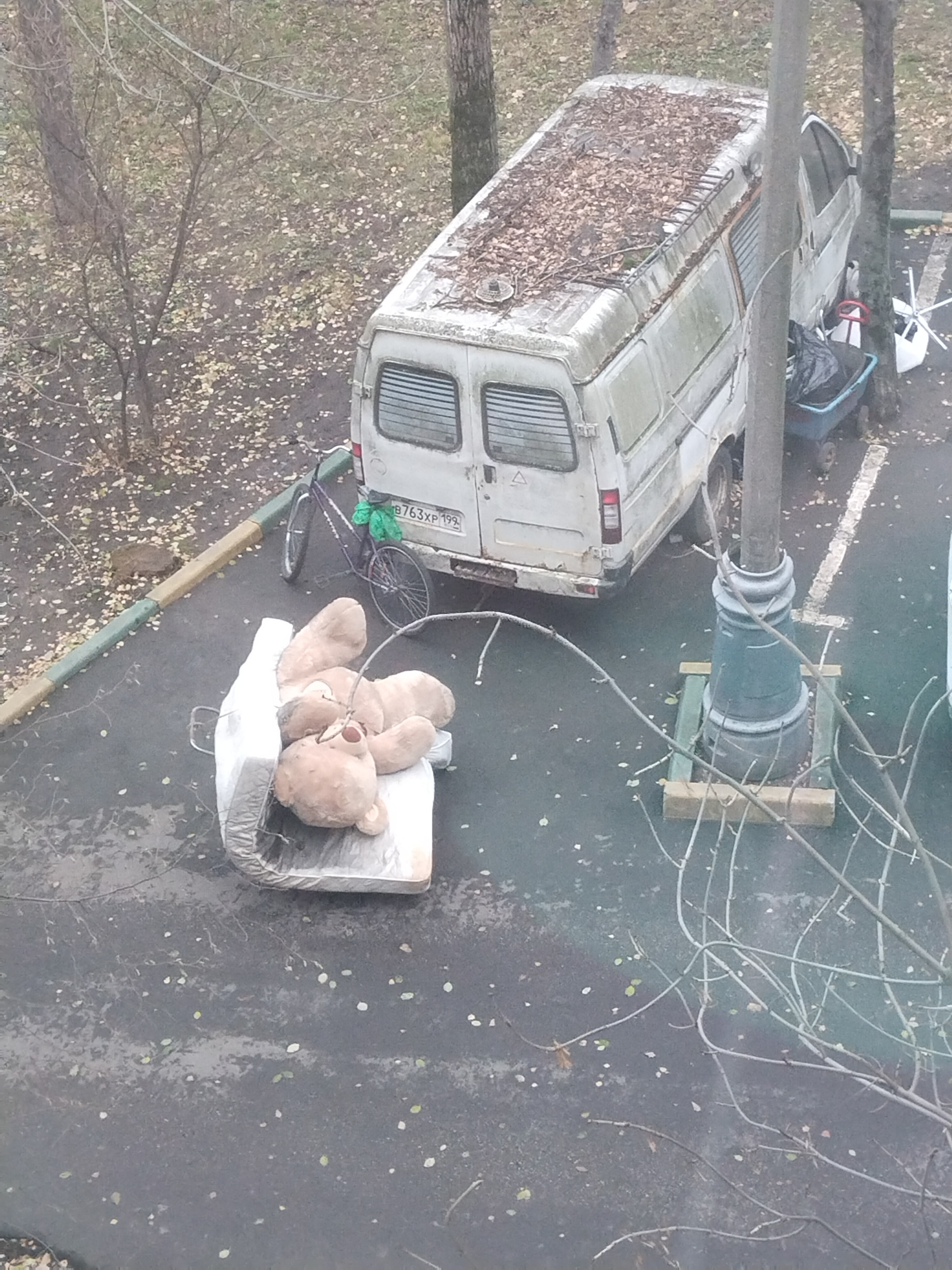 Apotheosis of autumn - My, Autumn, Moscow, Teddy bear, Longpost