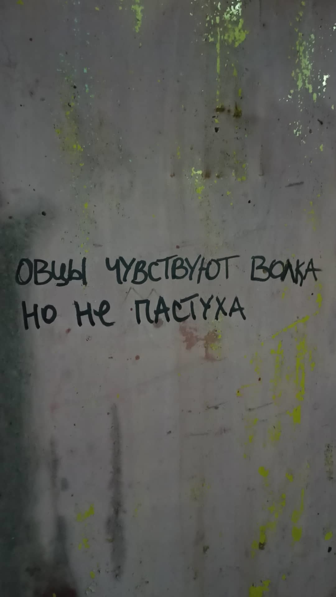 Подборка надписей - 100 выпуск - Стрит-Арт, Смешные надписи, Граффити, Вандализм, Россия, Надпись, Длиннопост