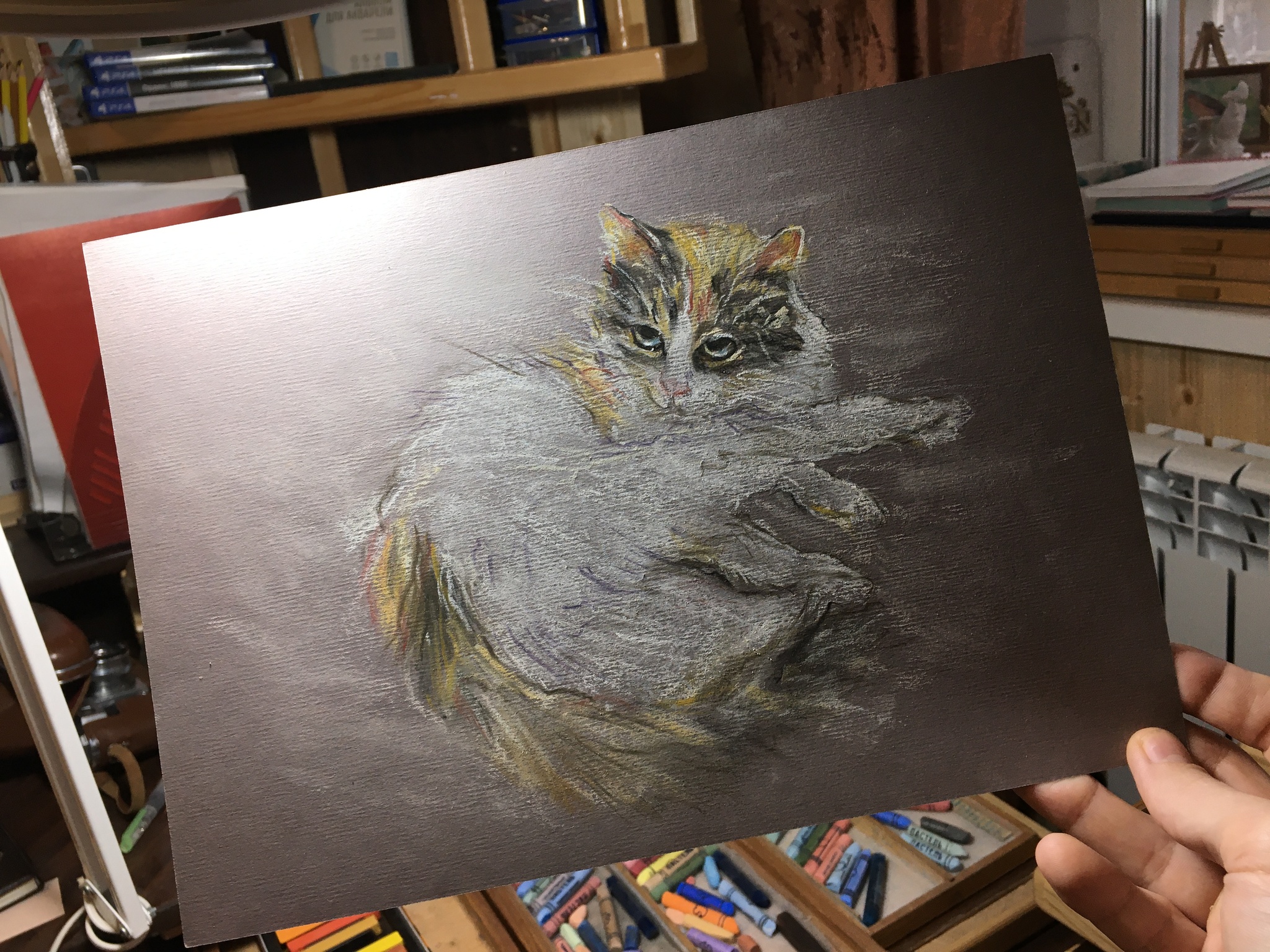 A 4 format in crayons - My, Pets, cat, Big cats, Paper, Colour pencils, Art, Drawing, Longpost