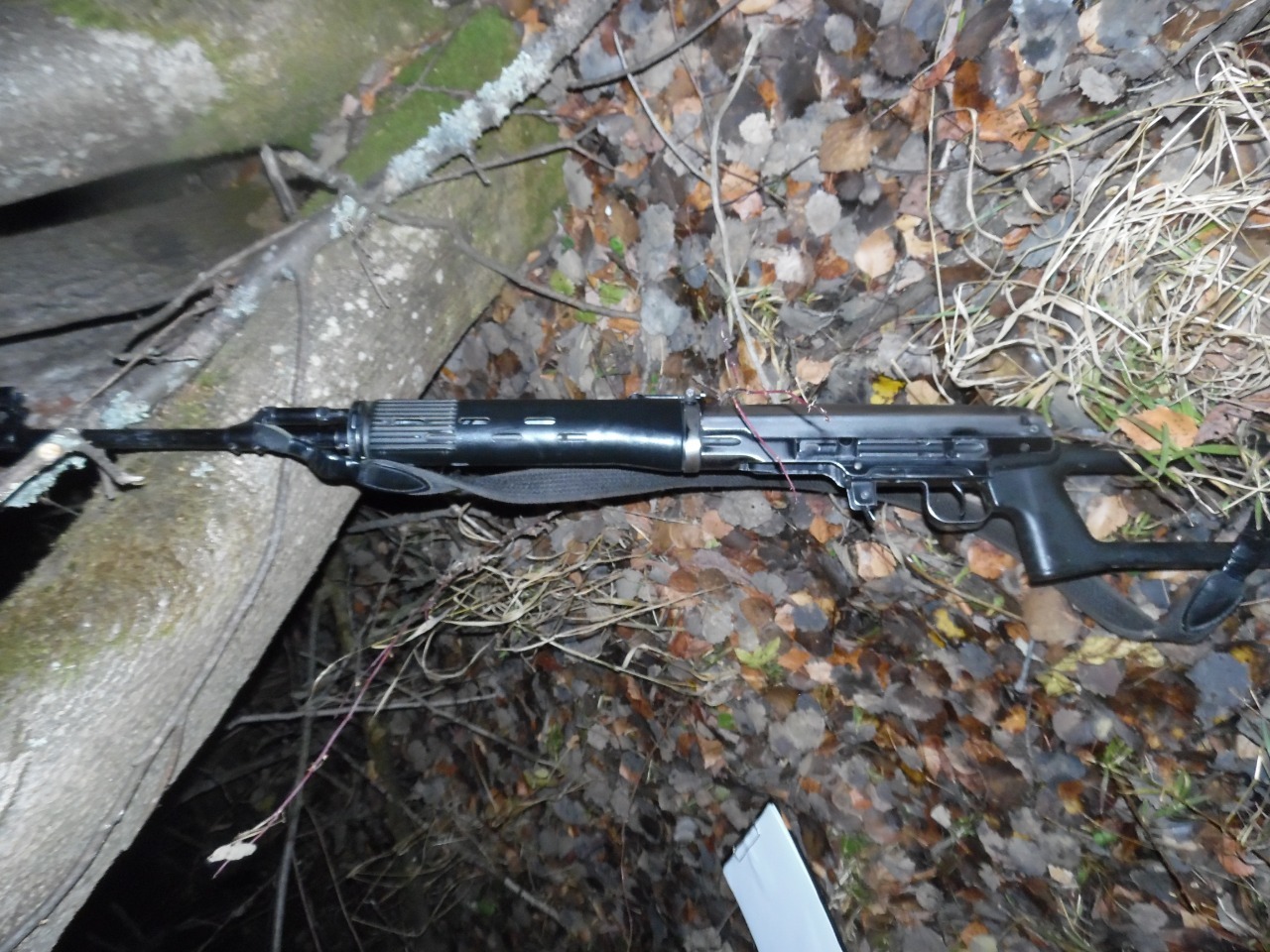 A Sverdlovsk citizen accidentally shot a comrade during a hunt - Negative, Sverdlovsk region, Hunting, Accident, Murder, Elk