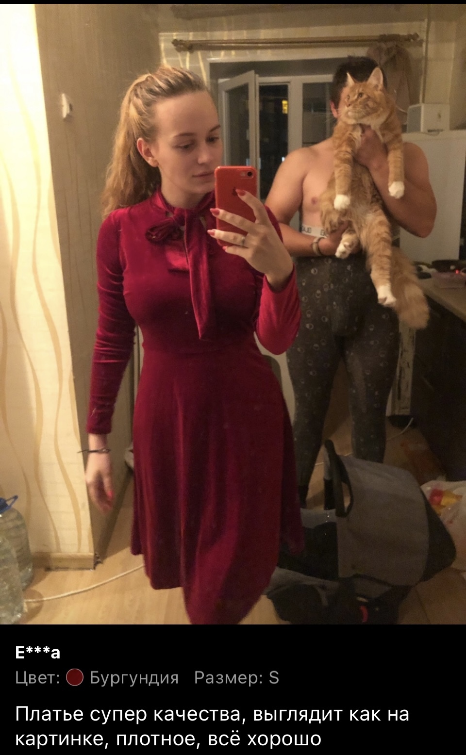 What dress! Look at the cat!!! - My, cat, Review