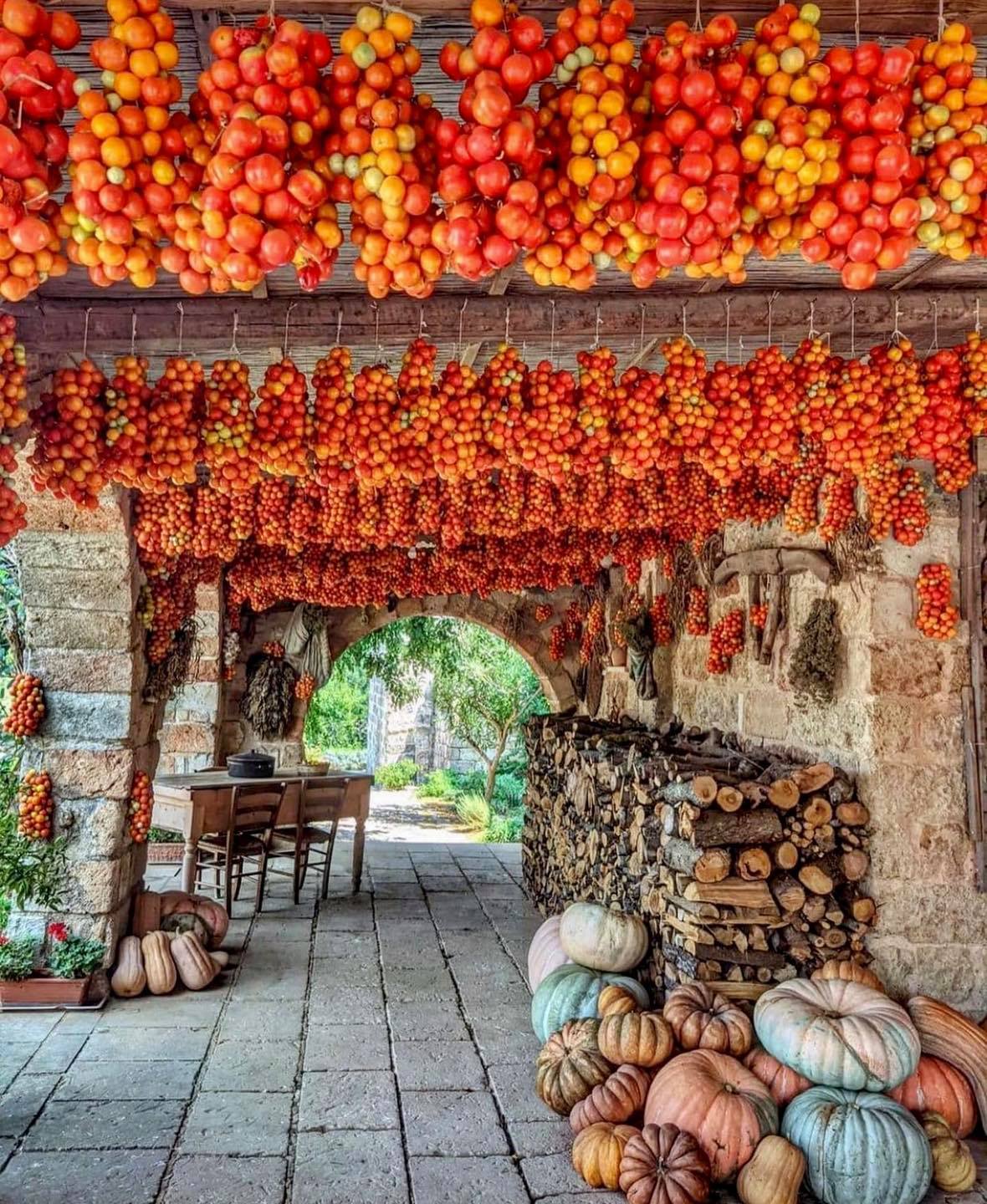 Apulia, Italy - Italy, The photo, Puglia