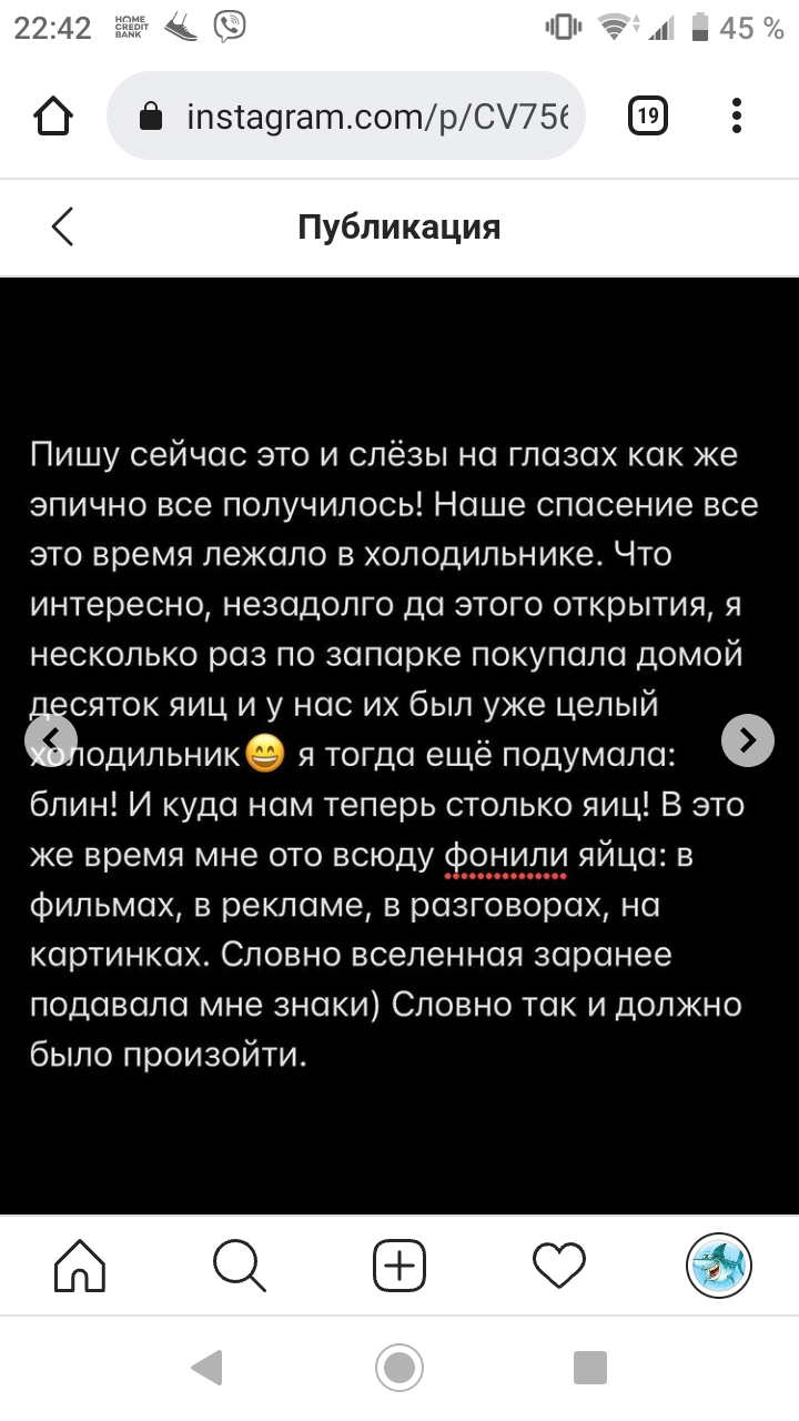 Инстаграмм головного мозга - Instagram, Инстаграммеры, Кот, Идиотизм, Мат, Длиннопост