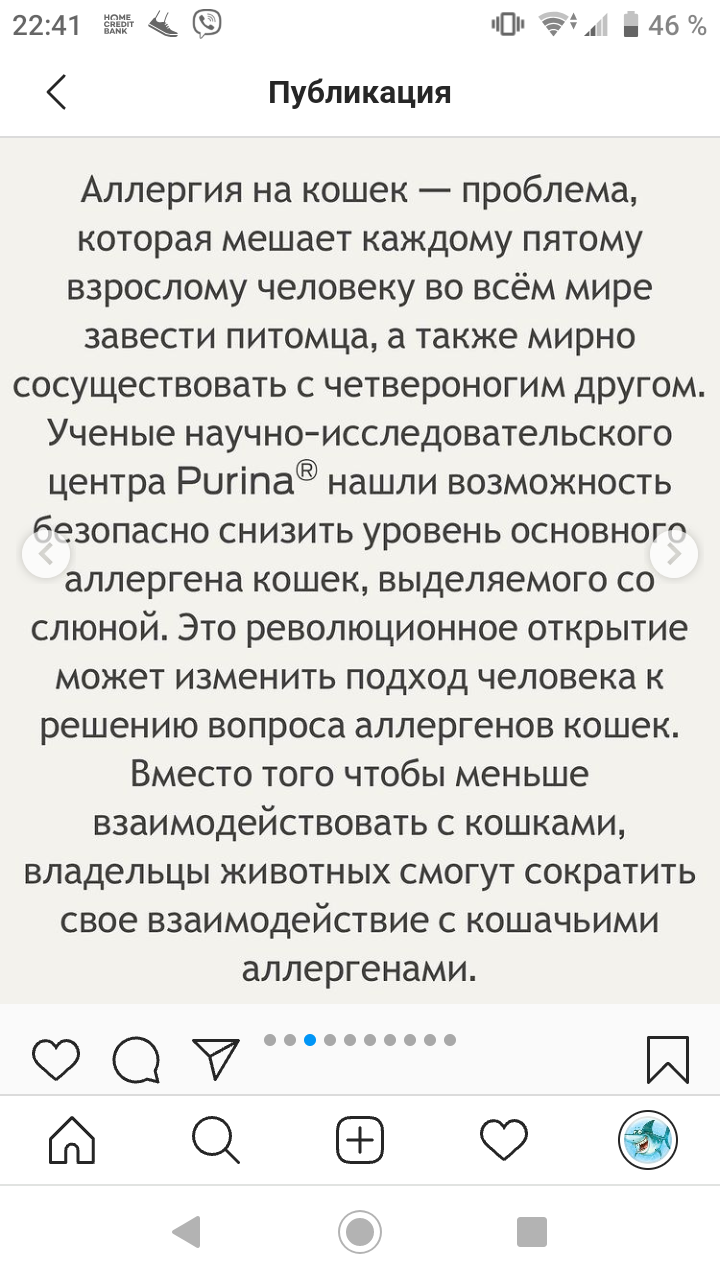 Инстаграмм головного мозга - Instagram, Инстаграммеры, Кот, Идиотизм, Мат, Длиннопост