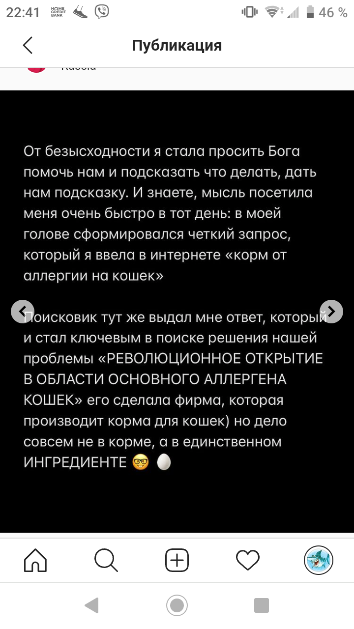 Инстаграмм головного мозга - Instagram, Инстаграммеры, Кот, Идиотизм, Мат, Длиннопост