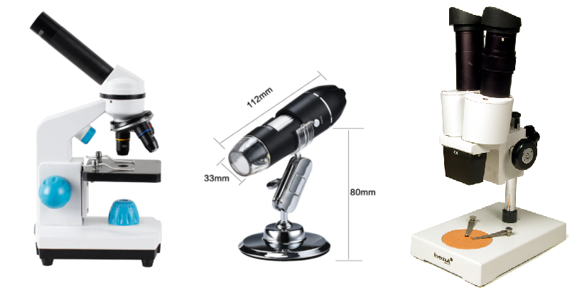 В чём отличия микроскопа за 100$, 1000$ и 25 000$ - Моё, Наука, Биология, Научпоп, Видео, Длиннопост, Познавательно