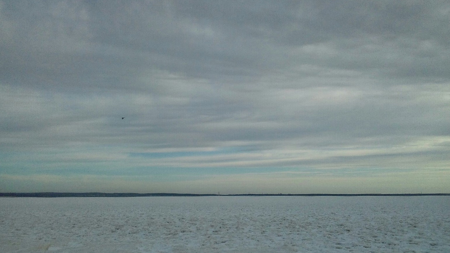 Song of Ice - My, Novosibirsk, Ob Reservoir, Ice, freezing, The park, Christmas trees, Sky, Mobile photography, Longpost