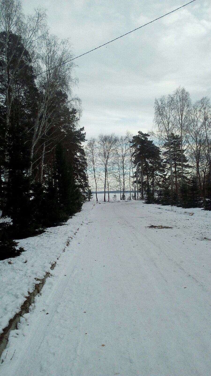 Song of Ice - My, Novosibirsk, Ob Reservoir, Ice, freezing, The park, Christmas trees, Sky, Mobile photography, Longpost