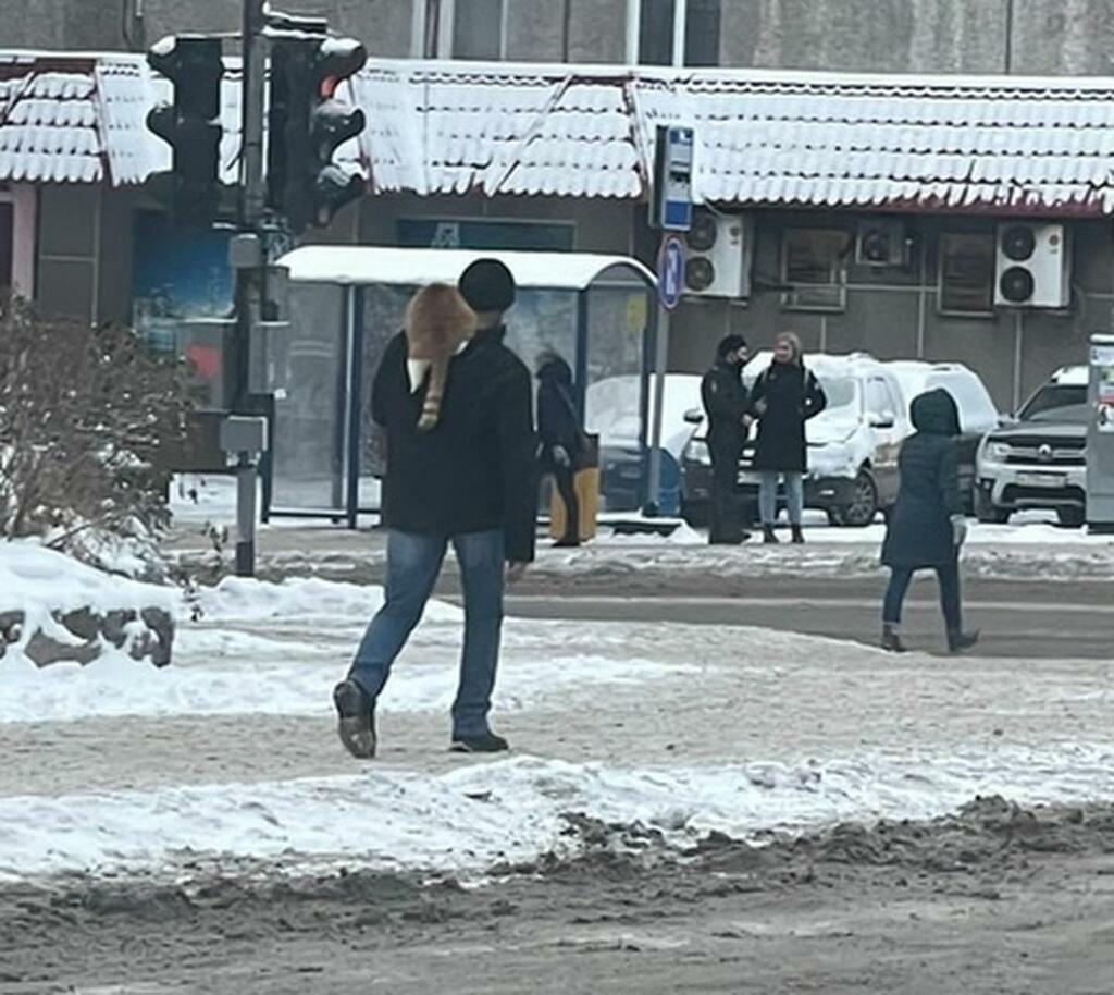 Murmansk has its own street cat named Bob - My, Murmansk, Murmansk region, cat, Animals, Help, People, Books, England, Story, Kindness, Musicians, Movies, Longpost