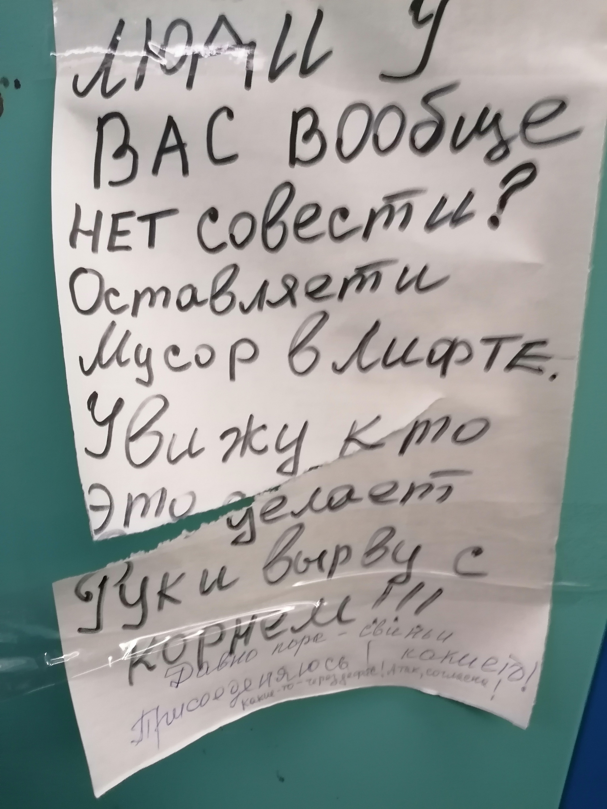 Traditional heading - Pigs of our yard - My, Novosibirsk, Pig, Garbage, Announcement