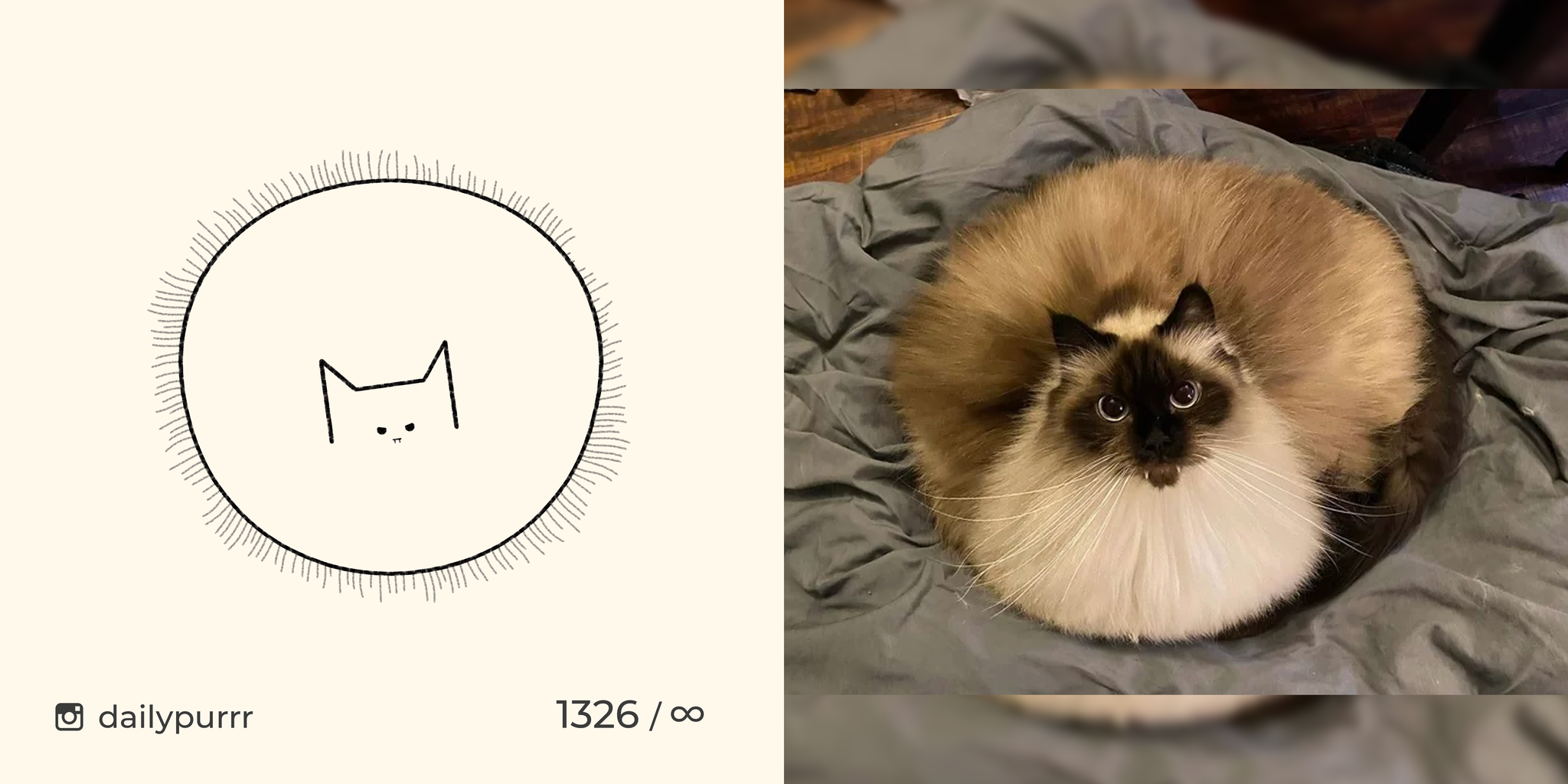 This is what a wealthy cat looks like - My, cat, Drawing, Animals, Dailypurrr