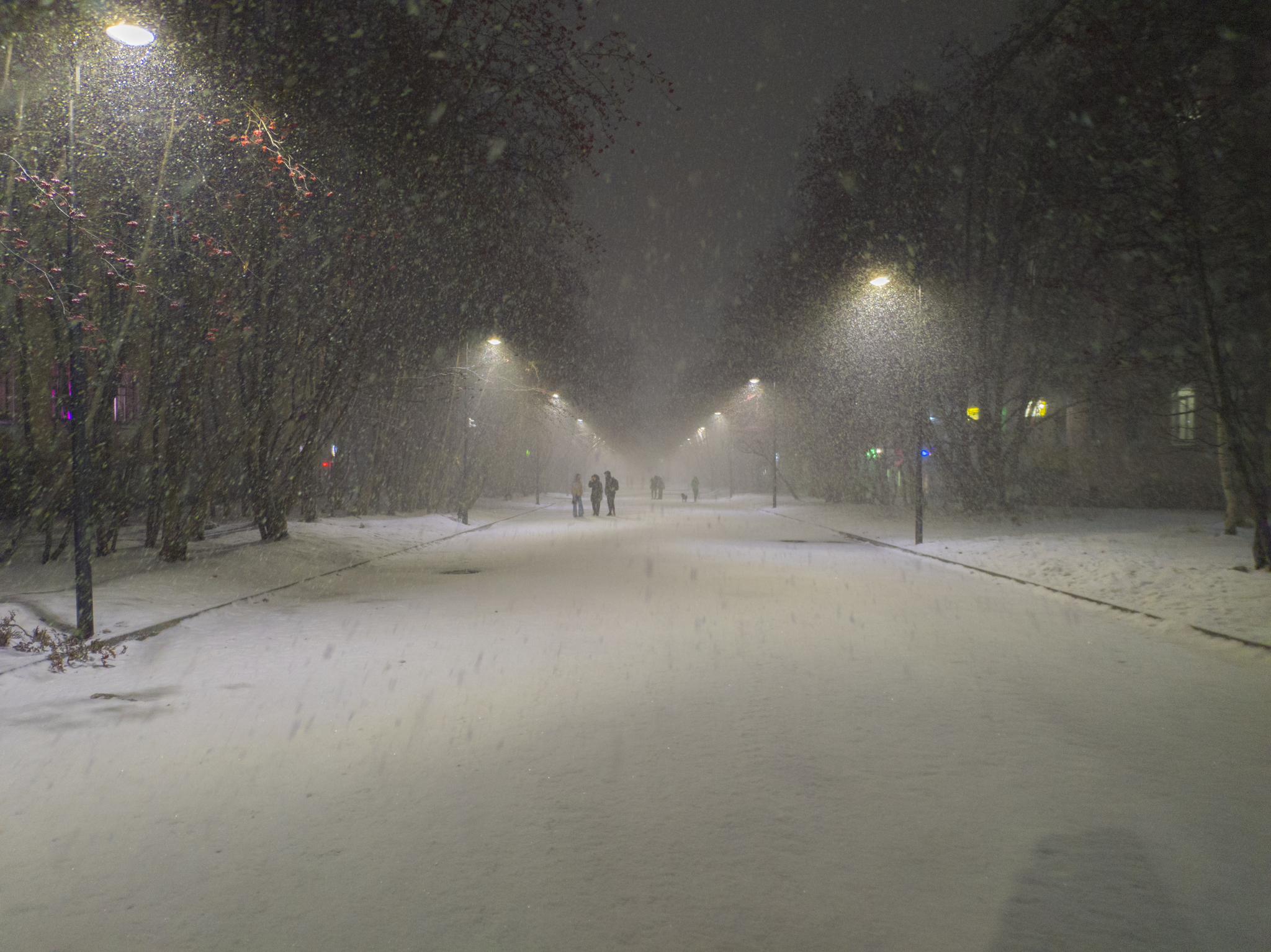 November snowfall - My, Severomorsk, Snow, Snowfall, Mobile photography, Winter, Longpost