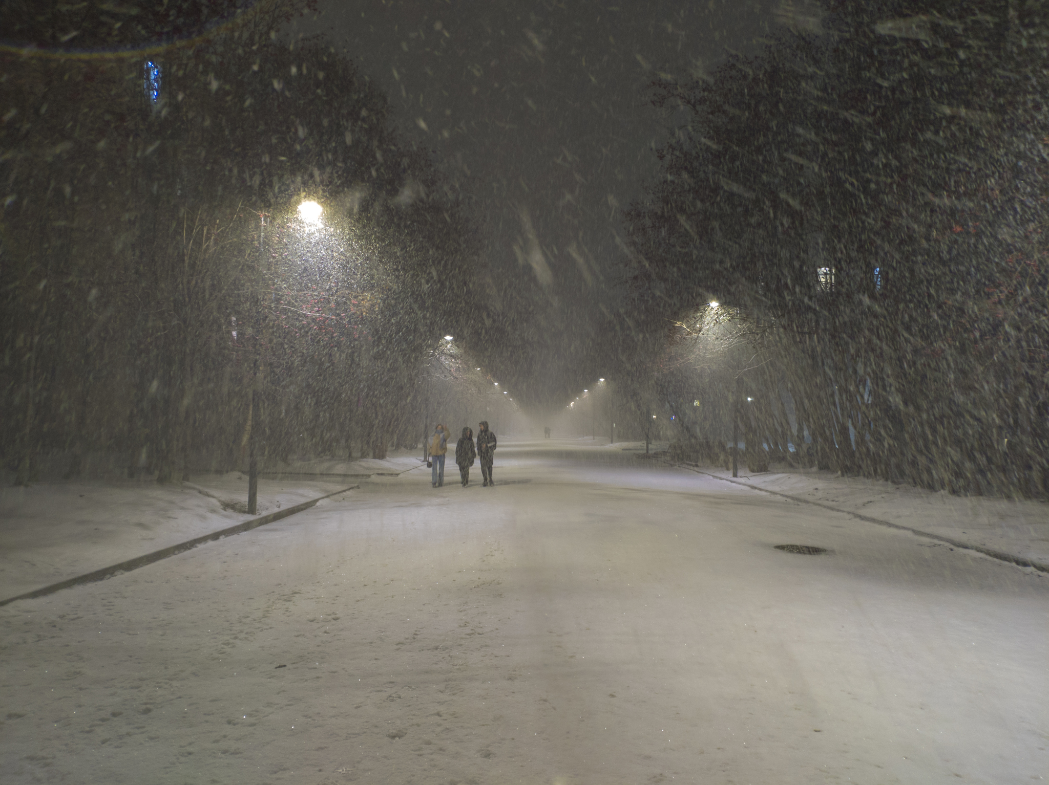 November snowfall - My, Severomorsk, Snow, Snowfall, Mobile photography, Winter, Longpost