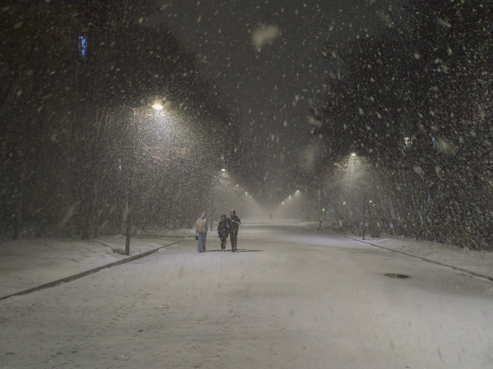 November snowfall - My, Severomorsk, Snow, Snowfall, Mobile photography, Winter, Longpost