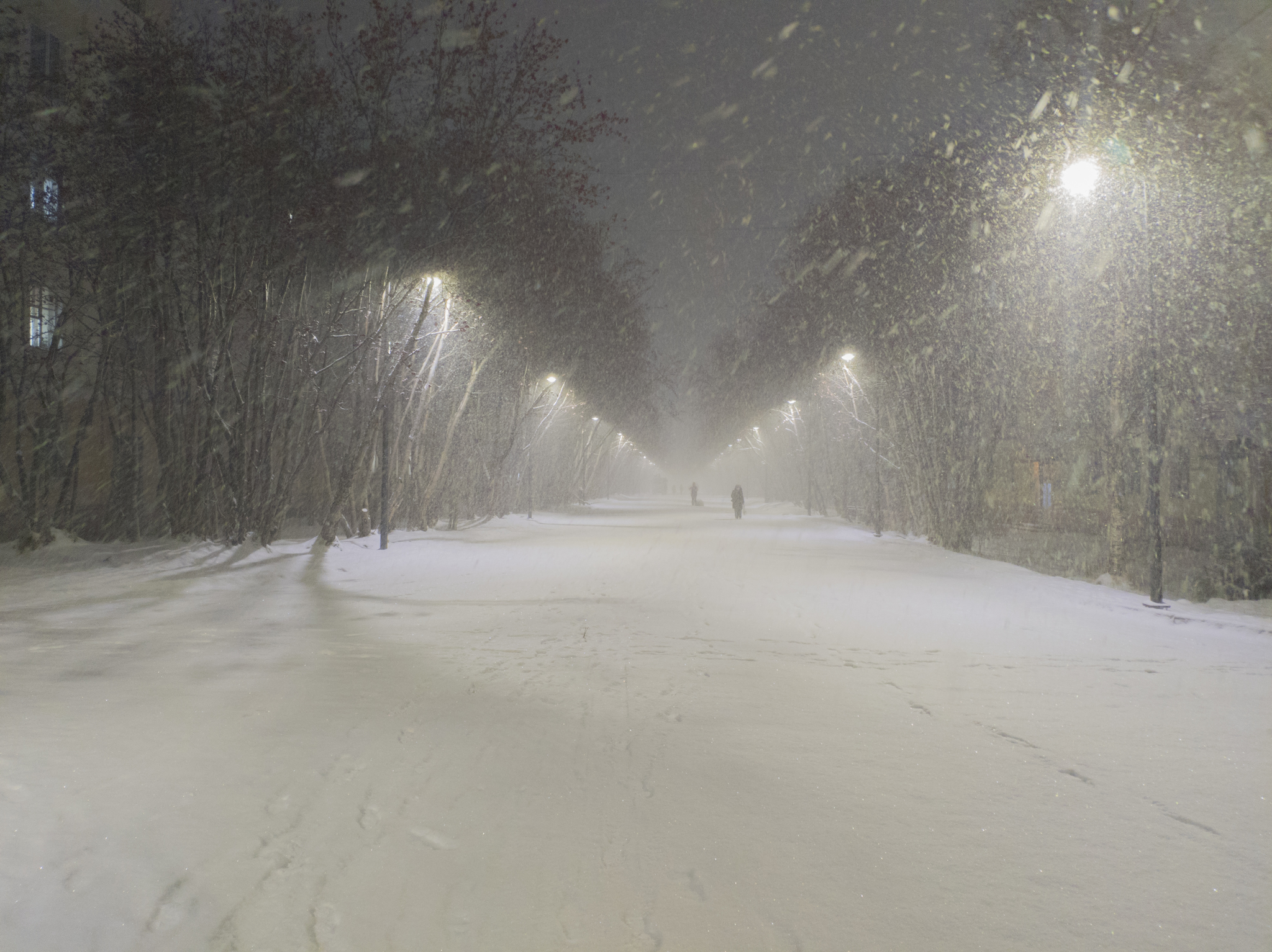 November snowfall - My, Severomorsk, Snow, Snowfall, Mobile photography, Winter, Longpost