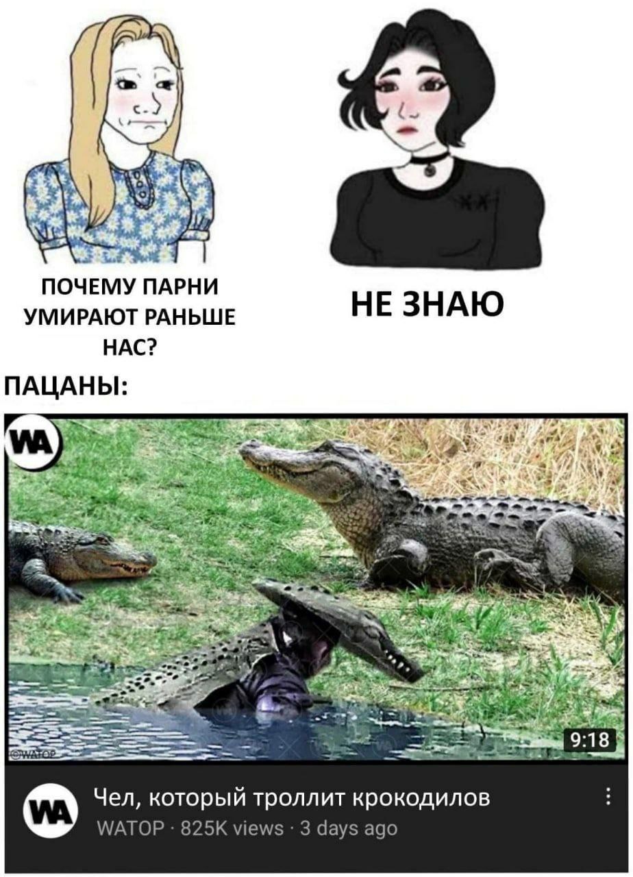 Mortality of men and women - Crocodiles, Women, Men, Memes, Picture with text, Humor, Trolling