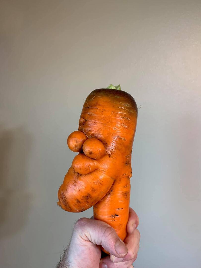 Homer, is that you? - Homer Simpson, The Simpsons, Carrot, Similarity, Pareidolia