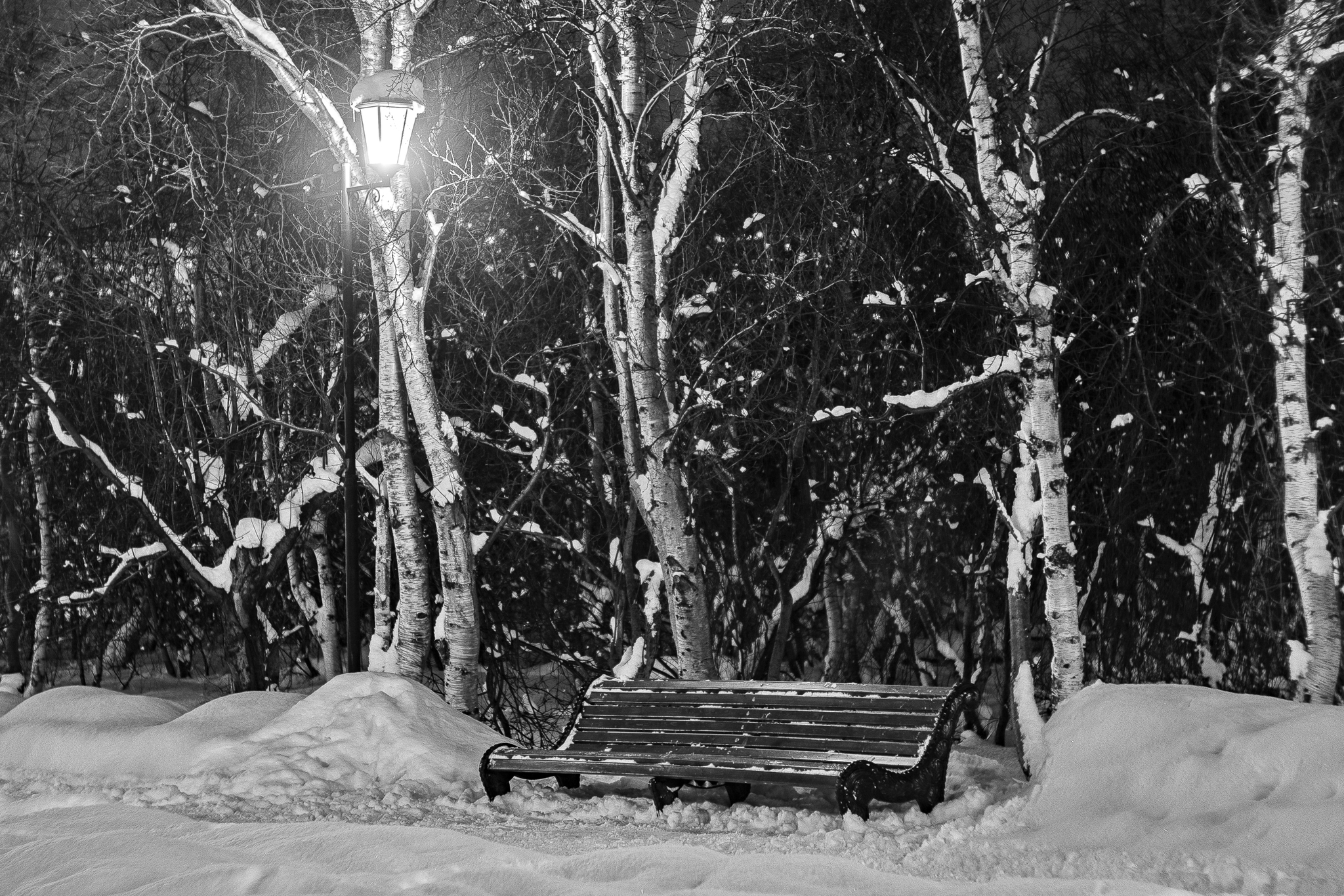 Winter, night, park, bench, lantern... - My, The park, Severomorsk, Night city, Night, Murmansk region