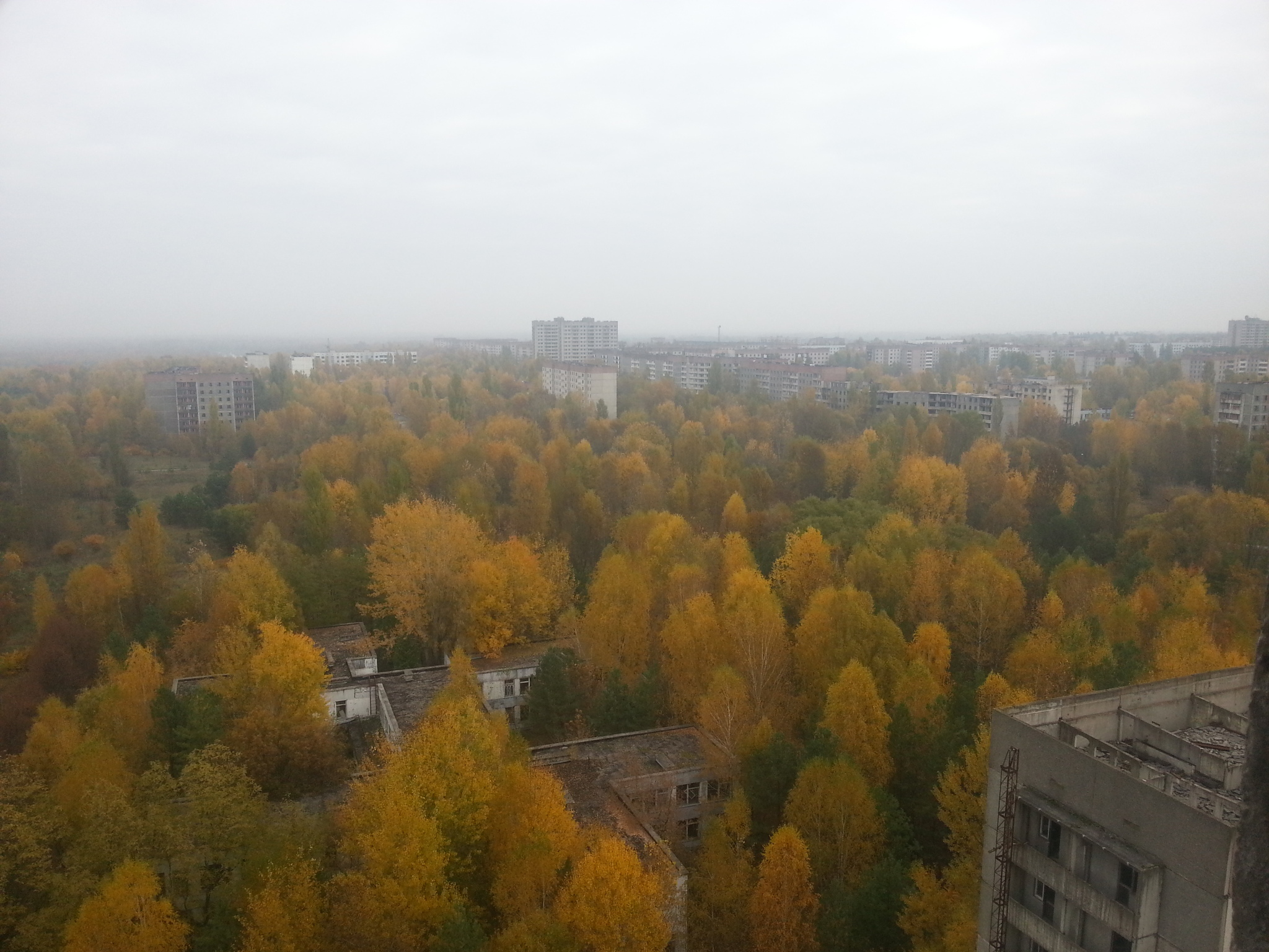 Call of Pripyat: a report on a trip to the Exclusion Zone. Part 4. Bridge of death, some more STALKER, first steps in Pripyat - My, Travels, Photo on sneaker, The photo, Mobile photography, Stalker, Chernobyl, Zone, Chernobyl, Pripyat, Abandoned, Abandoned cities, Excursion, Radiation, S.T.A.L.K.E.R.: Call of Pripyat, Stalker: Shadow of Chernobyl, Stalker: Clear Sky, Nature, Autumn, Landscape, Mat, Longpost