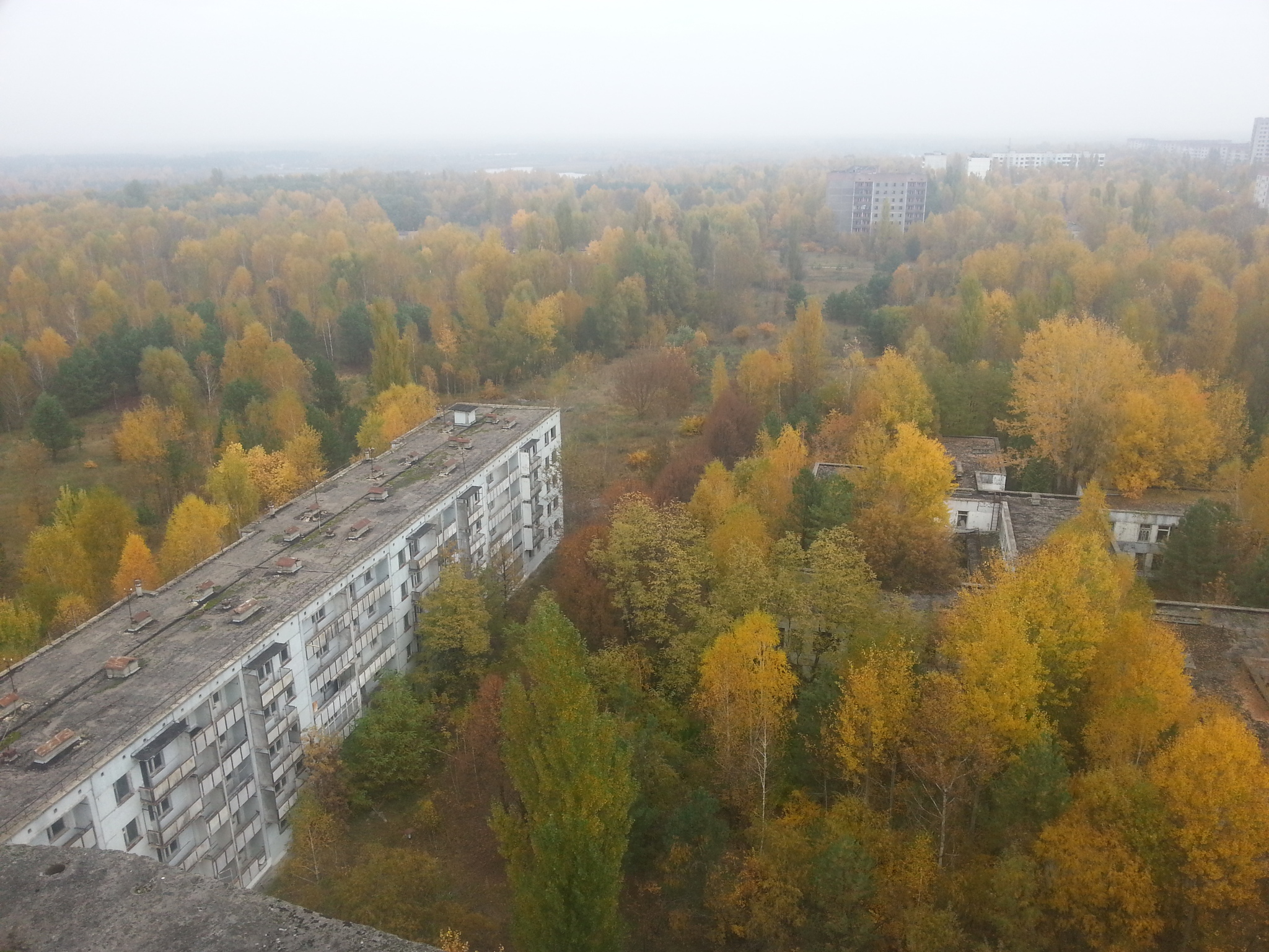 Call of Pripyat: a report on a trip to the Exclusion Zone. Part 4. Bridge of death, some more STALKER, first steps in Pripyat - My, Travels, Photo on sneaker, The photo, Mobile photography, Stalker, Chernobyl, Zone, Chernobyl, Pripyat, Abandoned, Abandoned cities, Excursion, Radiation, S.T.A.L.K.E.R.: Call of Pripyat, Stalker: Shadow of Chernobyl, Stalker: Clear Sky, Nature, Autumn, Landscape, Mat, Longpost