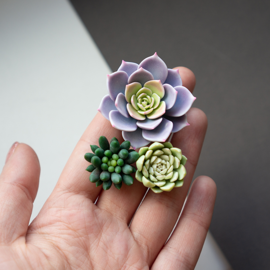 My polymer clay succulents - My, Polymer clay, Succulents, Decoration, Plants, Needlework, Polymer floristry, Houseplants, Needlework without process, Longpost