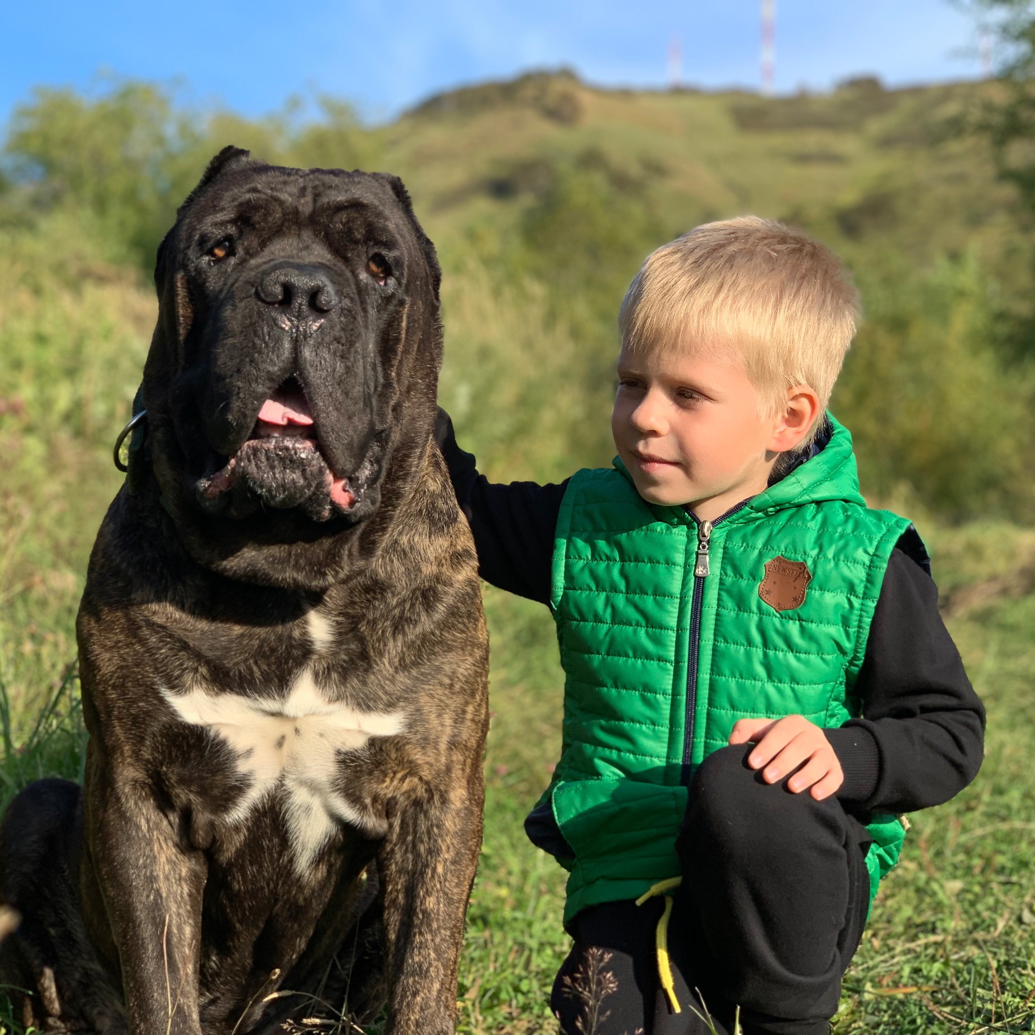 In memory - My, Cane Corso, Dog, Hills, Mobile photography, Children