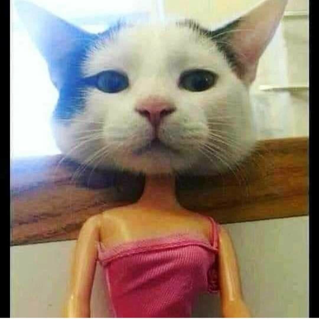 Барби | Пикабу