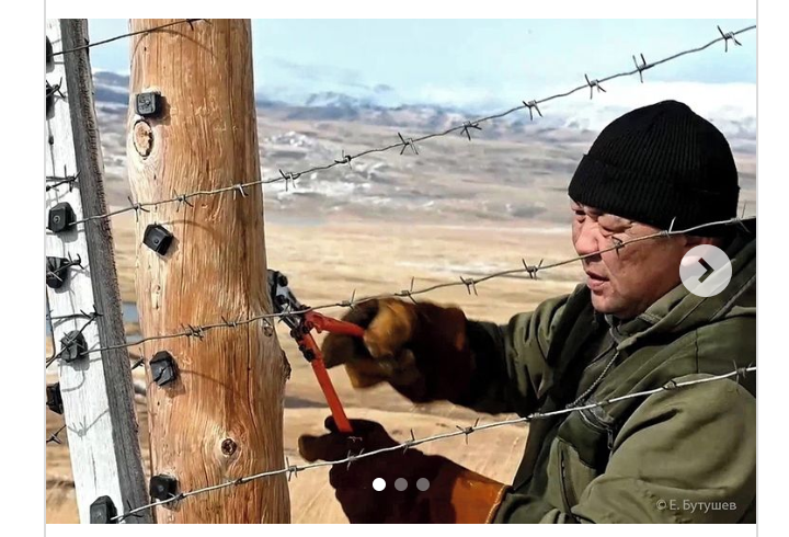 In Altai got rid of barbed wire on the border with Mongolia. - Wild animals, The border, Barbed wire, Migration, Altai Republic, Russia, Mongolia, Interesting, WWF, The national geographic, Helping animals, Ukok Plateau, Snow Leopard, Longpost, Reserves and sanctuaries