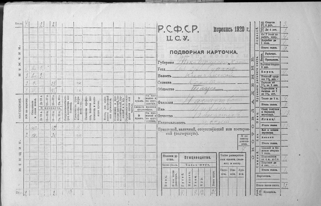 How was the All-Union population census of 1926 in the Orenburg province? - My, Orsk, Orenburg, Orenburg region, Story, Longpost