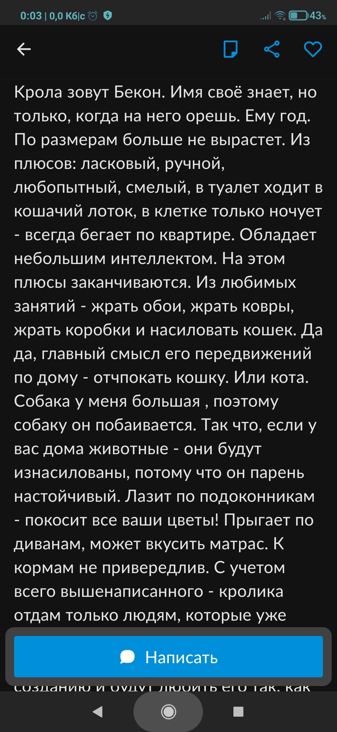 Шедевральное объявление про кролика | Пикабу