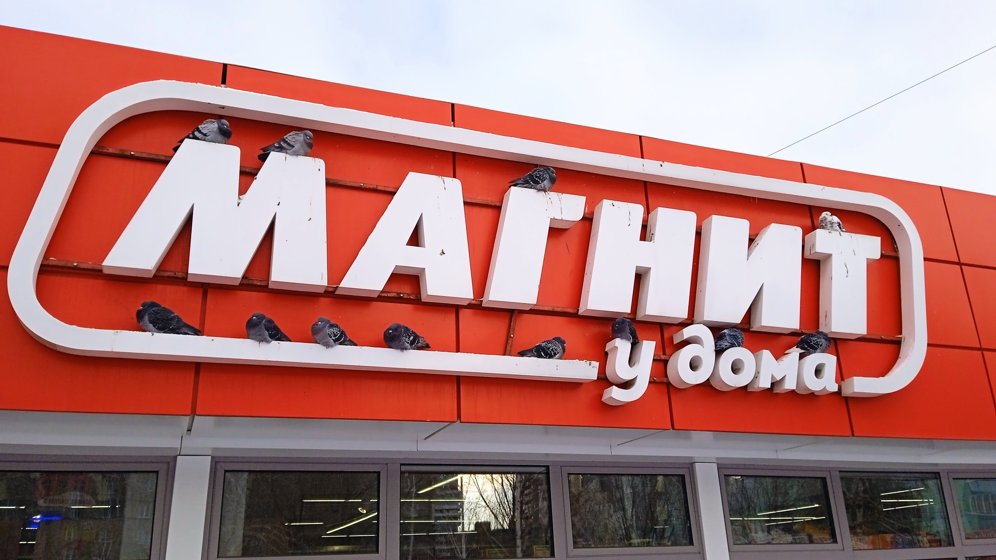 Магнит и голуби | Пикабу