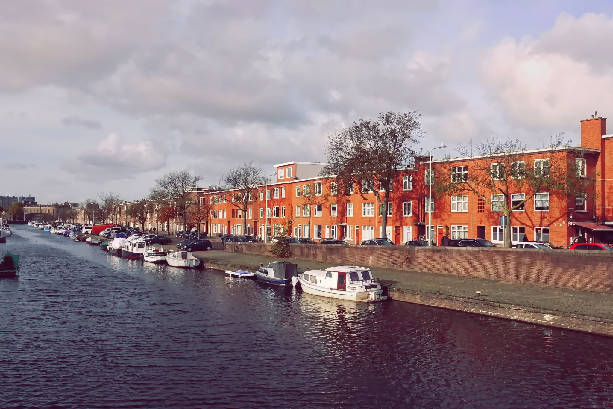 Sunny day in Holland - My, Netherlands (Holland), Autumn