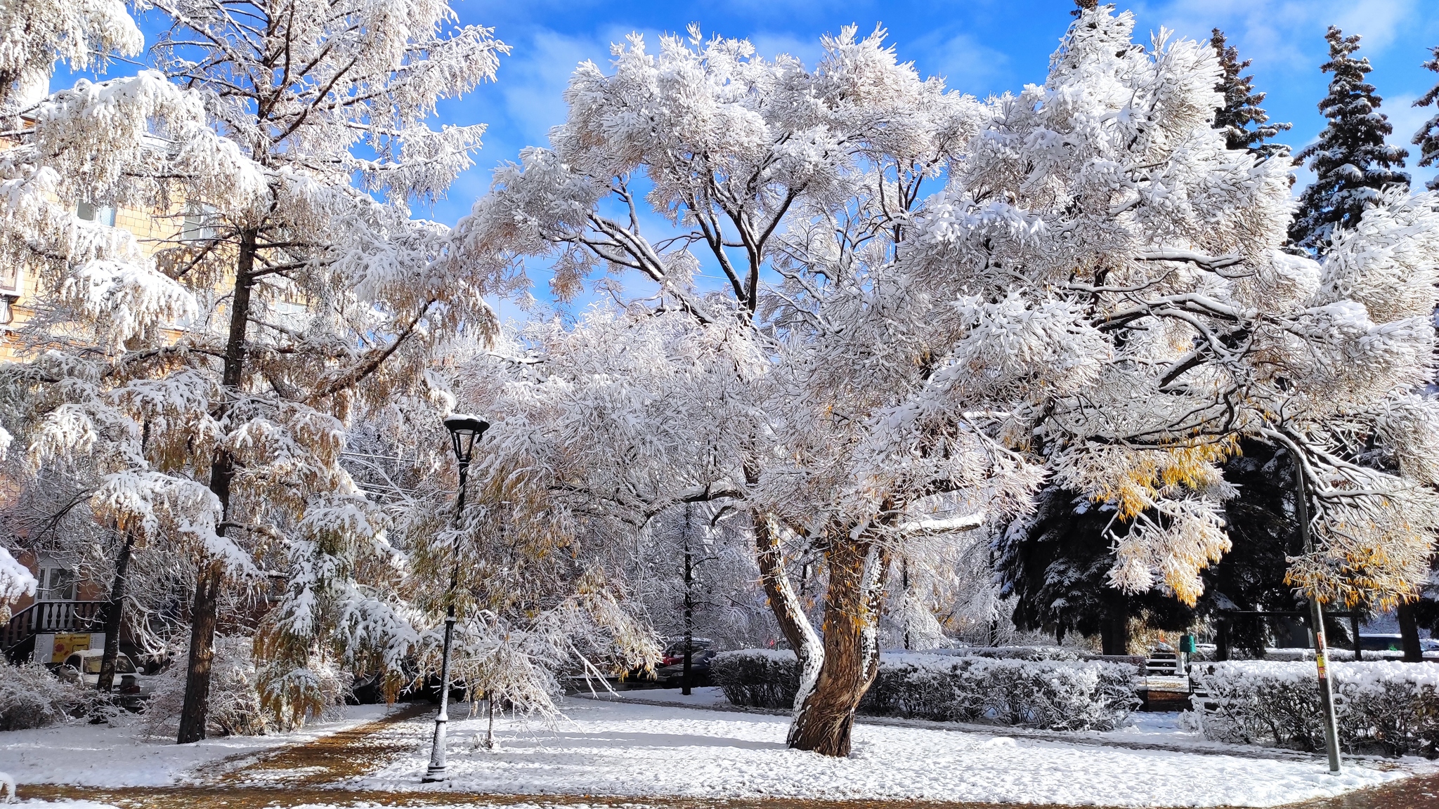 First snow - My, Mobile photography, The photo, Snow, Chelyabinsk