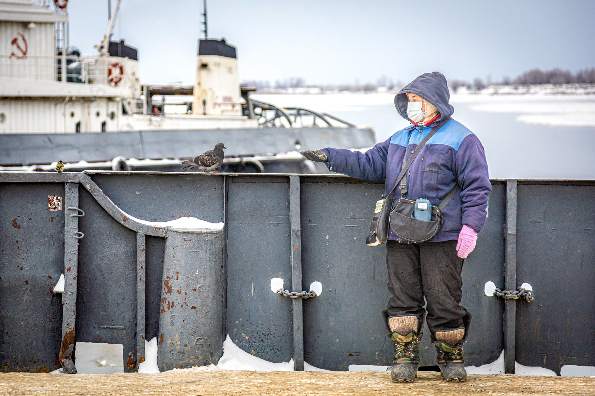 Ferry and pigeons - My, Pigeon, Ferry, Tobolsk, The photo, Longpost