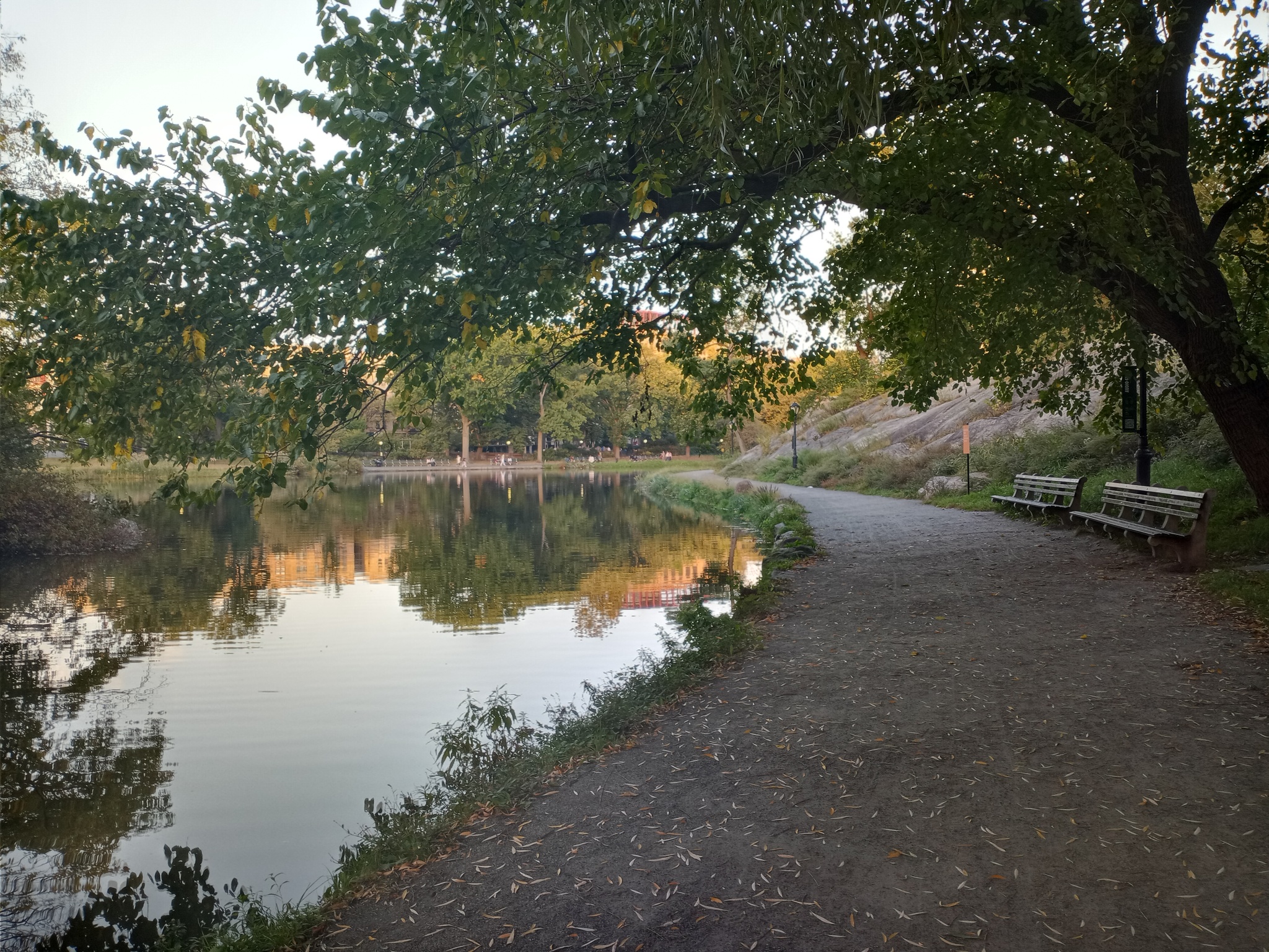 Autumn walk in New York - My, Walk, Laziness, The horizon is littered, Longpost, Autumn, New York