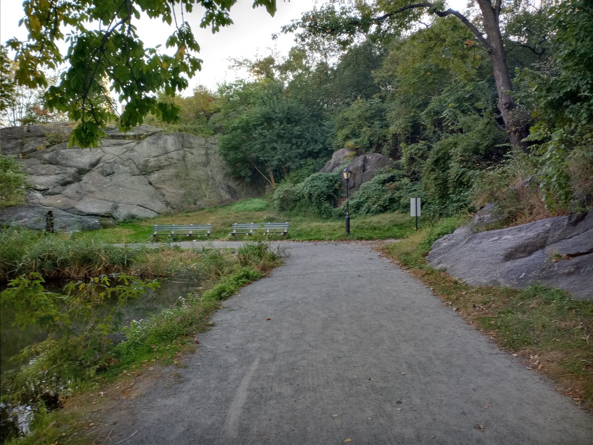 Autumn walk in New York - My, Walk, Laziness, The horizon is littered, Longpost, Autumn, New York