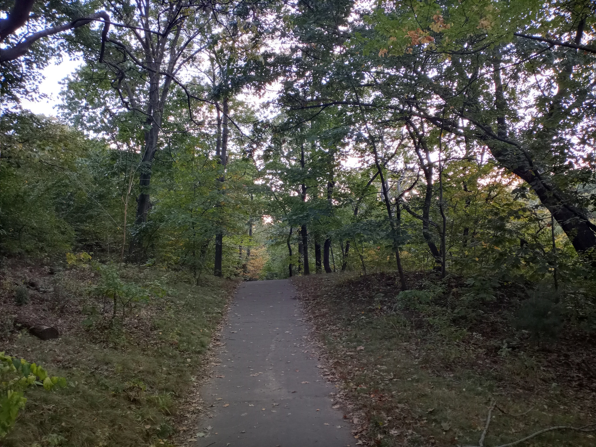 Autumn walk in New York - My, Walk, Laziness, The horizon is littered, Longpost, Autumn, New York