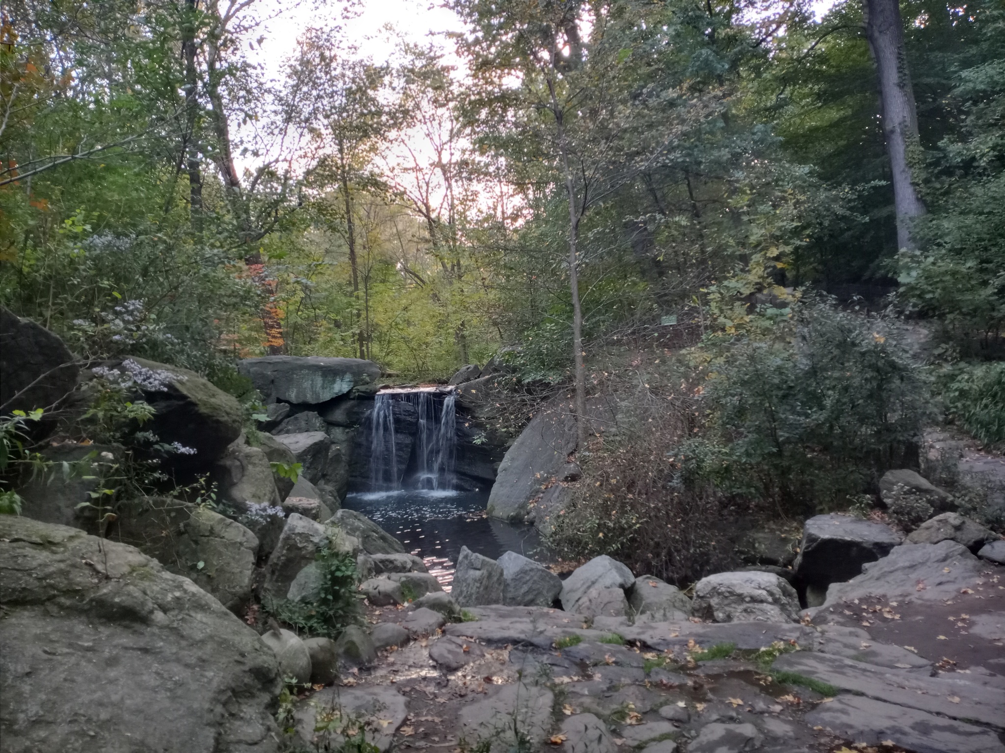 Autumn walk in New York - My, Walk, Laziness, The horizon is littered, Longpost, Autumn, New York