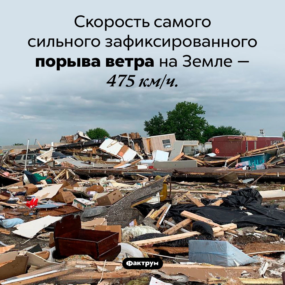 Подборка интересных фактов № 11 - Моё, Фактрум, Подборка, Факты, Познавательно, Длиннопост