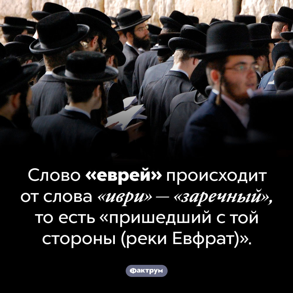 Что обозначает еврейский. Еврей слов. Еврейские слова. Еврей Фактрум. Слово жид.