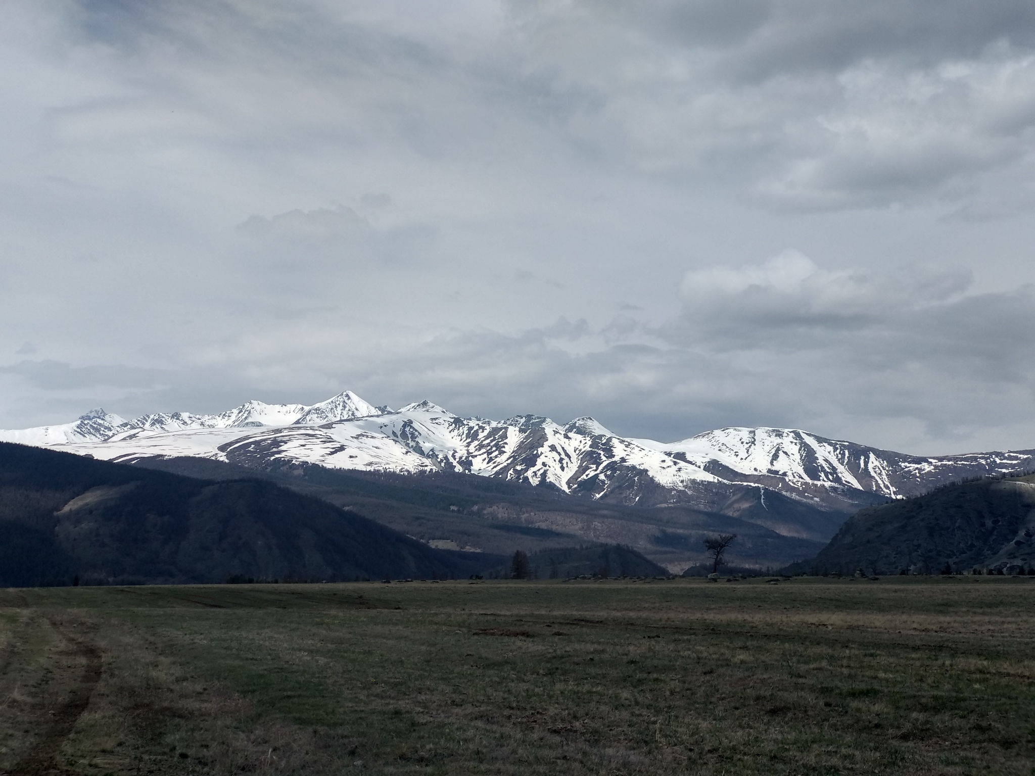 Степь Самаха. Горный Алтай - Моё, Республика Алтай, Горы, Путешествия, Мобильная фотография