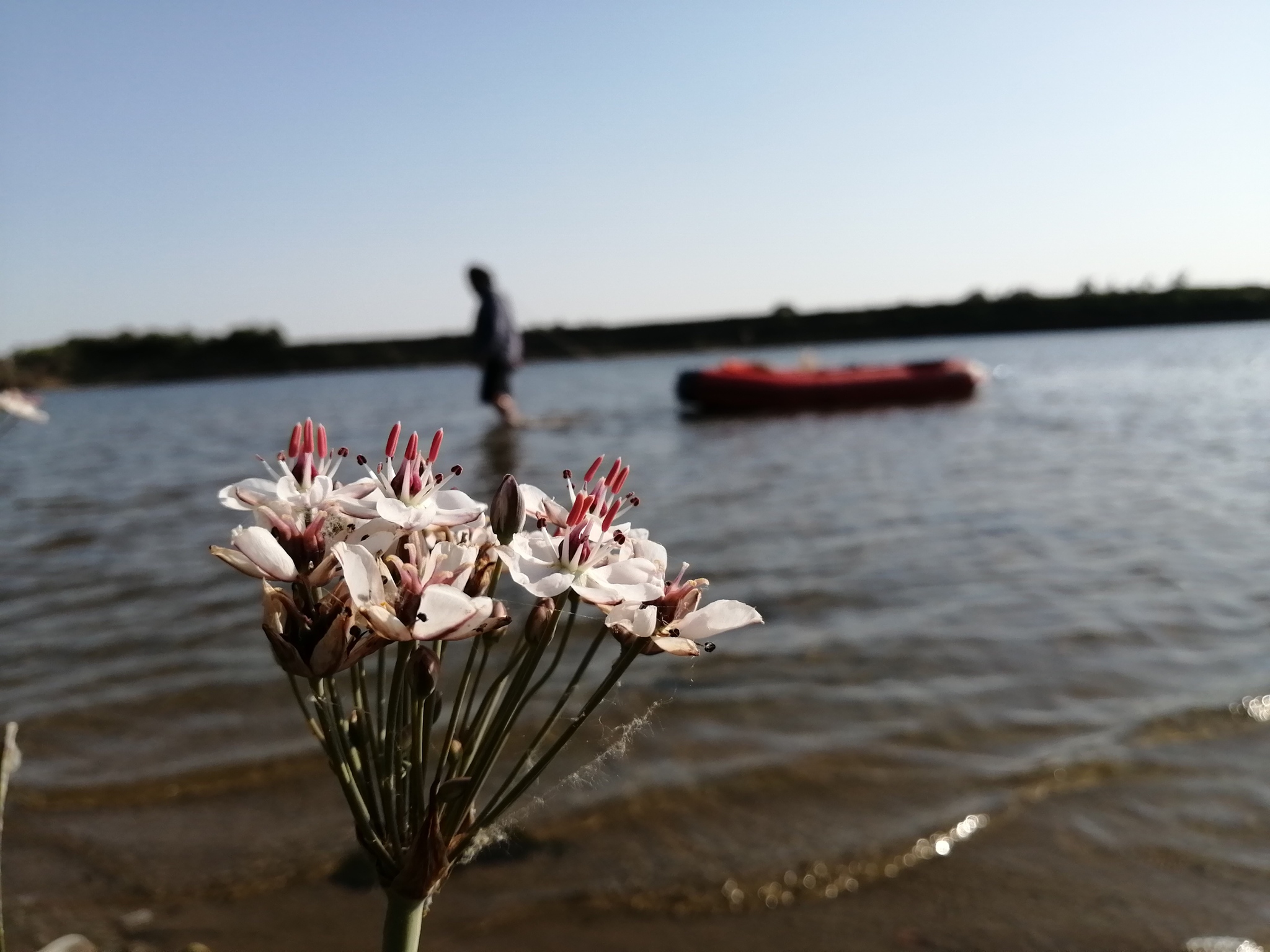 Journey along the Mother Volga! Continuation! - Volga river, River rafting, Vacation, Travel across Russia, Fishing, beauty of nature, Video, Longpost